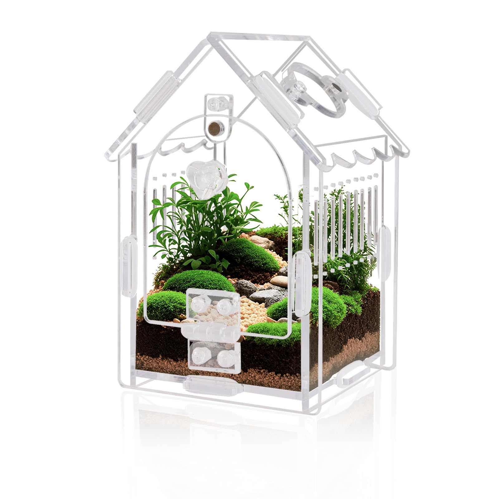 Jumping Spider Enclosure - Internal Dimensions 3.15x3.15x5.6