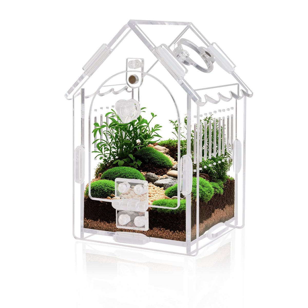 Jumping Spider Enclosure - Internal Dimensions 3.15x3.15x5.6 Acrylic Terrarium Kit for Tarantulas/Mantis/Reptiles with Magnetic 