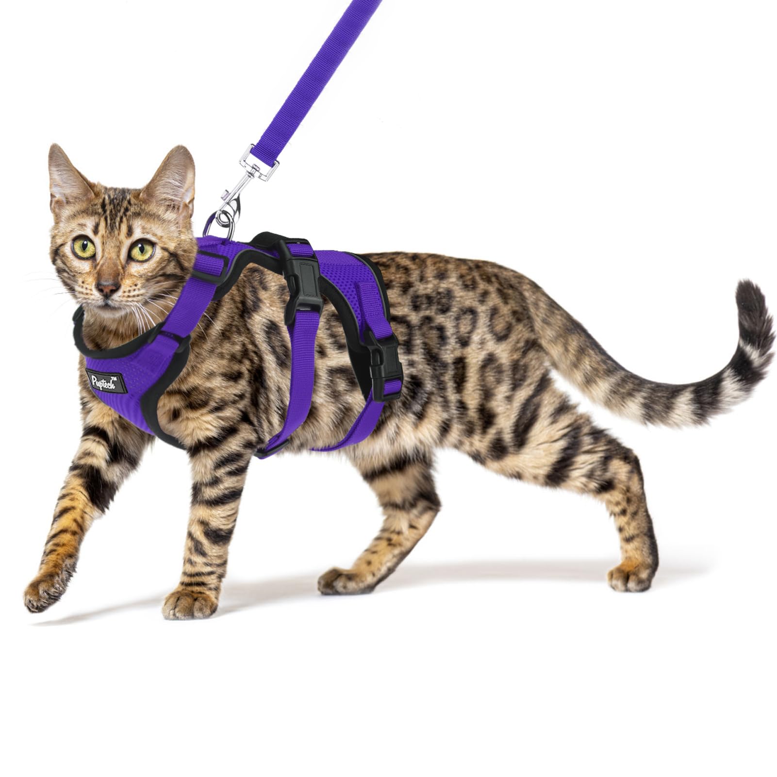 Pupteck Cat Harness And Leash Set Escape Proof For Walking, Breathable Mash Vest Adjustable Harness For Cats Puppy Small Animals