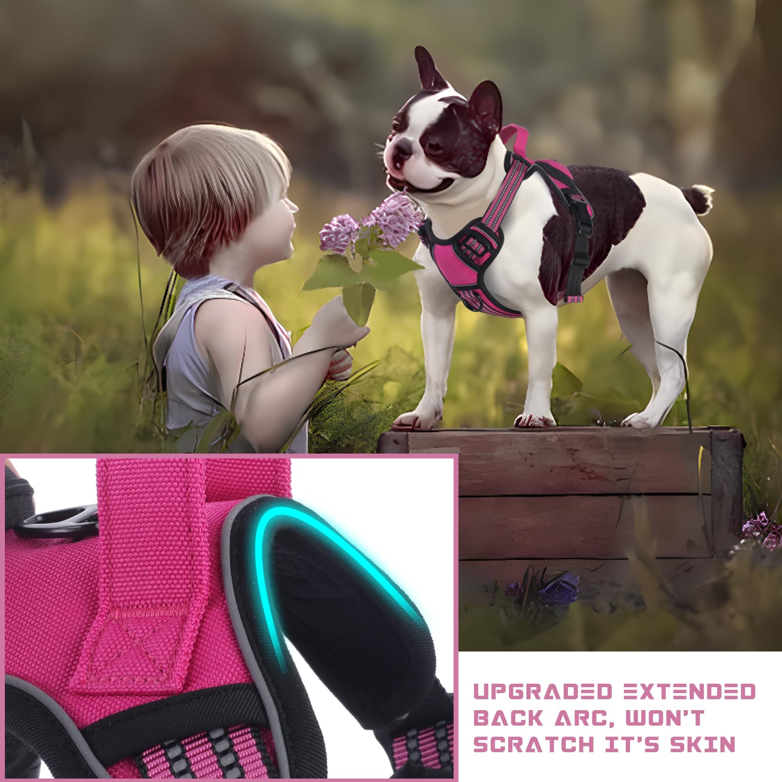 BUMBIN Dog Harness for Large Dogs, No Pull Adjustable No Choke Pet Vest with Dog Leash Fit Smart Reflective Pet Walking Harness