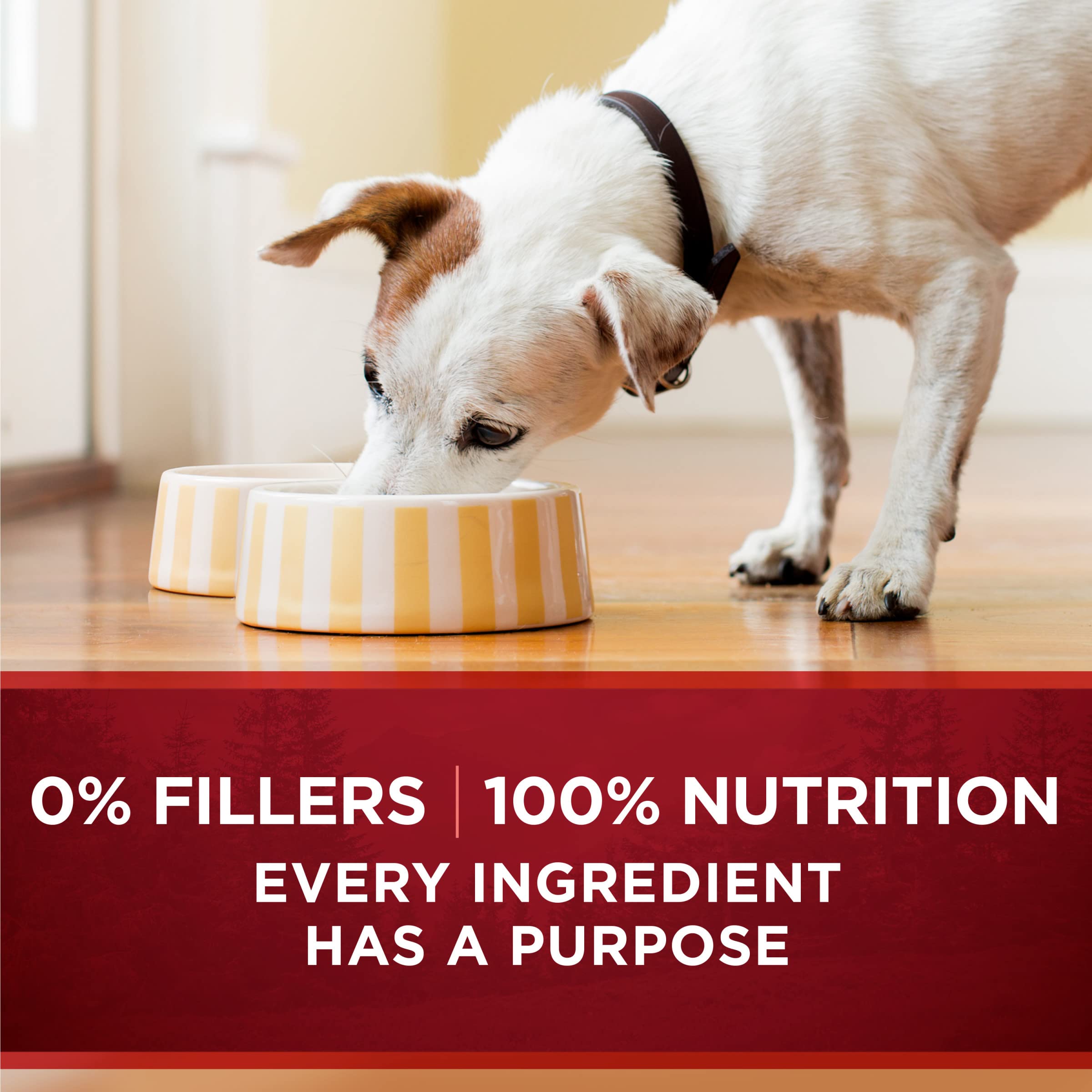 Purina ONE High Protein Wet Dog Food True Instinct Tender Cuts in Dog Food Gravy With Real Beef and Wild-Caught Salmon - (Pack o