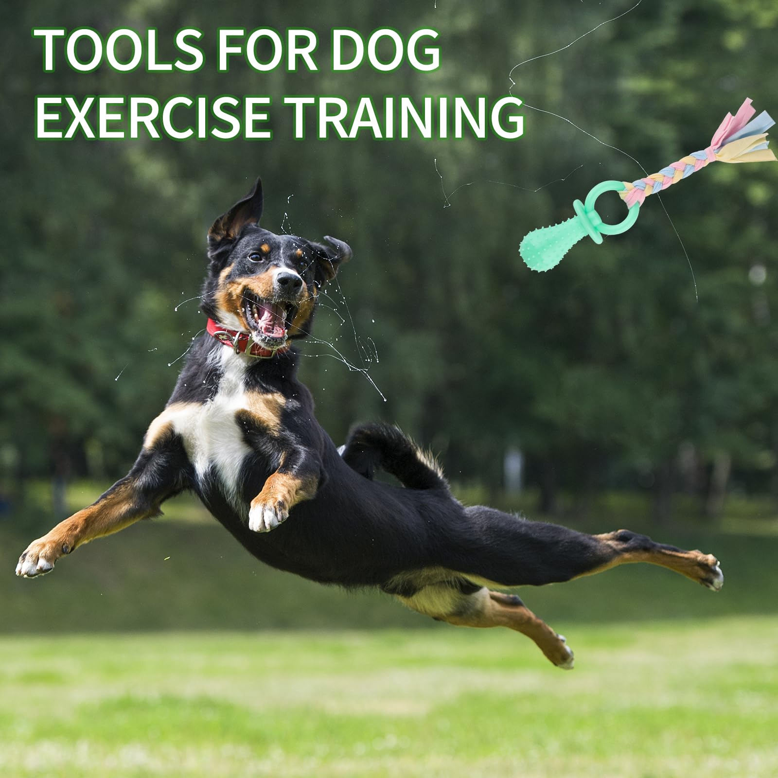 4 Pcs Puppy Chew Toys For Teething, Small Dog Chew Toys, Soft Rubber & Cotton Rope, Interactive, Teething Ring, Dog Toys Set (St