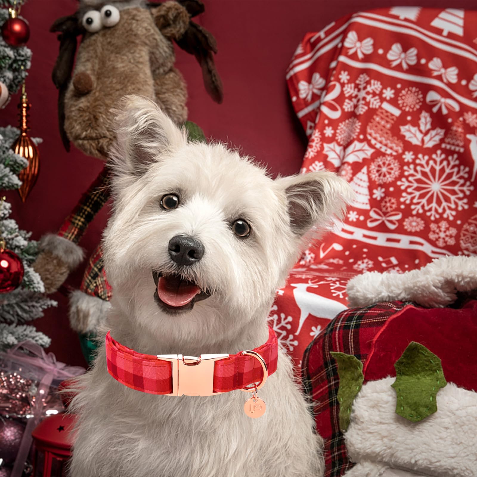 Up Urara Pup Christmas Dog Collar, Christmas Collar For Puppy Girl Boy Dog Or Cat, Red Plaid Dog Collar With Durable Metal Buckl
