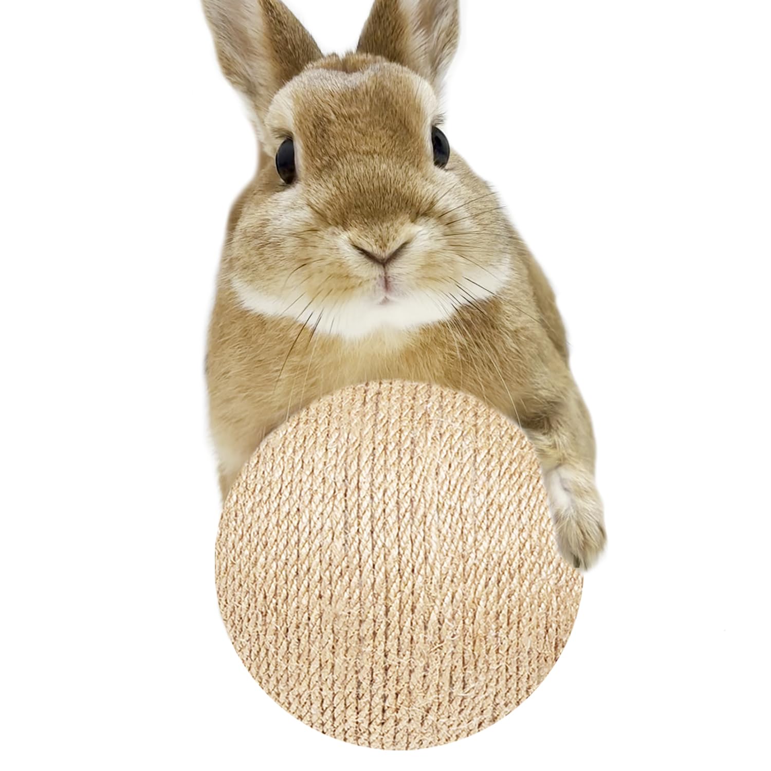 Keyide Extra Large Rabbit Ball Toy, 4.7In Natural Sisal Bunny Scratch Ball, Interactive Small Animal Toys For Chinchilla Guinea 