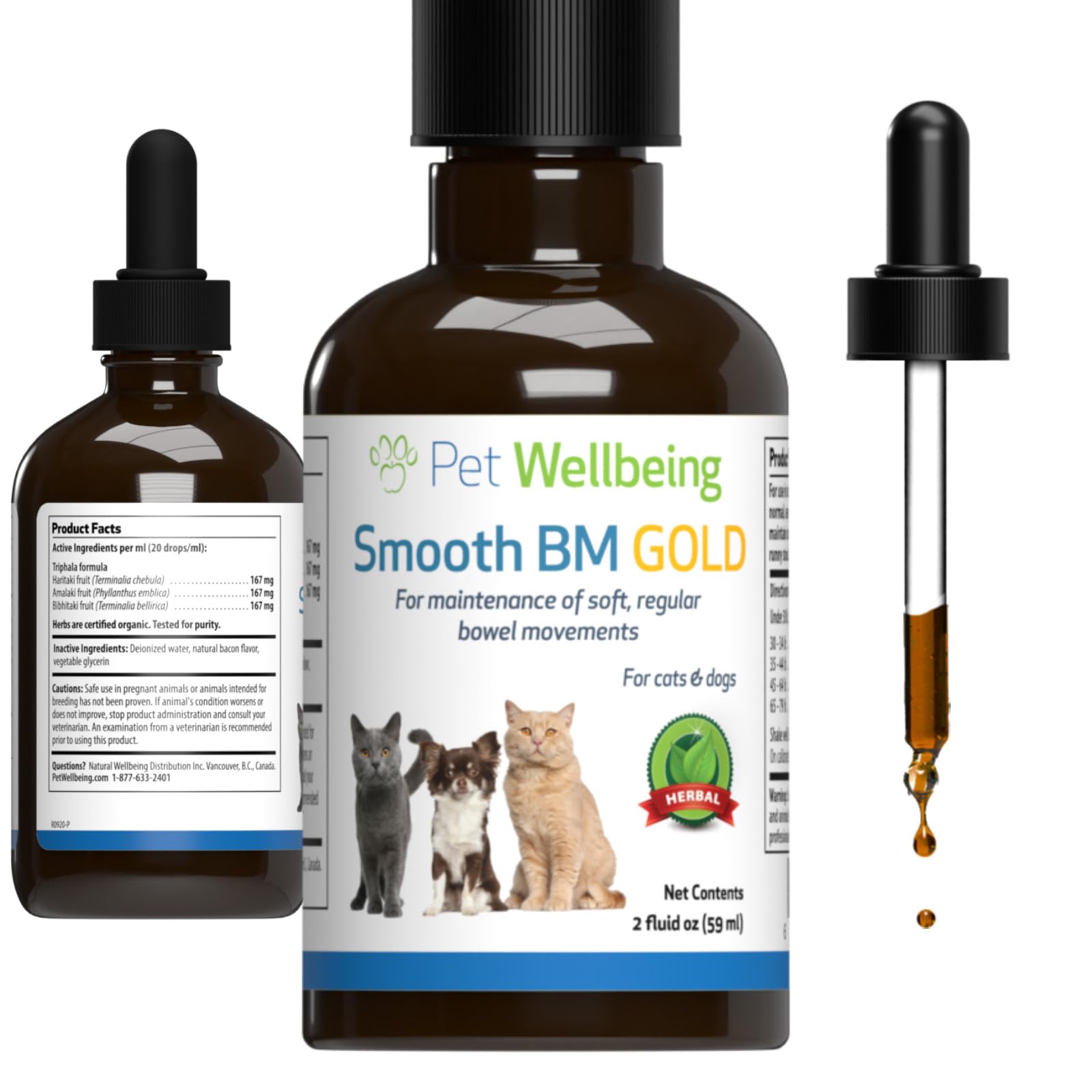 Pet Wellbeing Smooth BM Gold for Cats - Gentle Constipation Relief for Felines - Natural Herbal Supplement 2 oz (59 ml)
