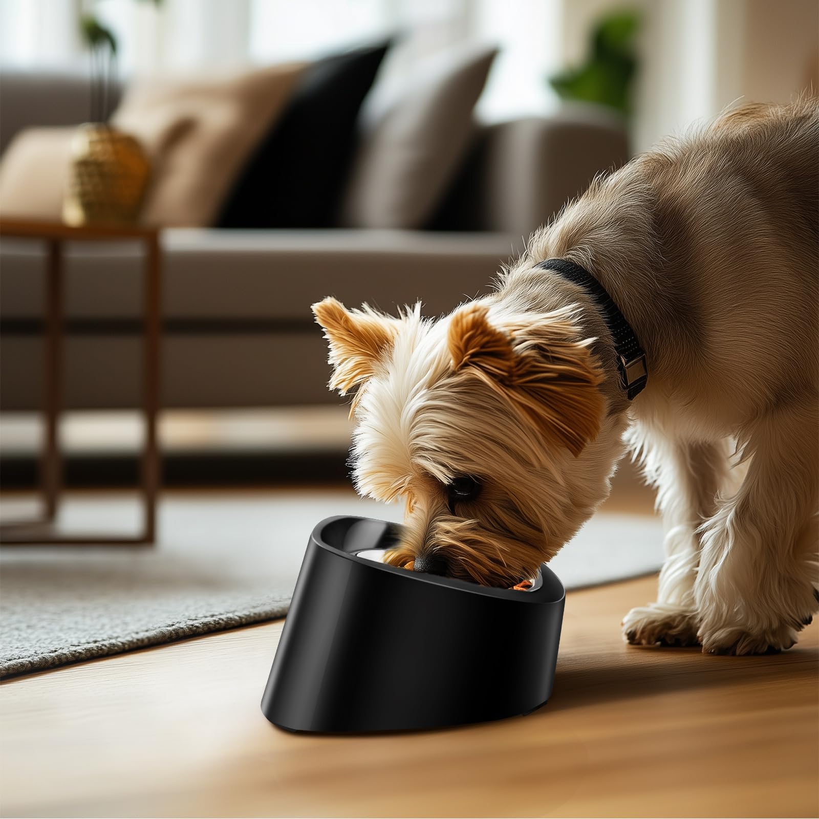 15 Elevated Pet Bowl For Small And Medium Dogs & Cats, Anti-Vomiting Tilted Stainless Steel Feeder, Easy To Clean And Non-Slip D