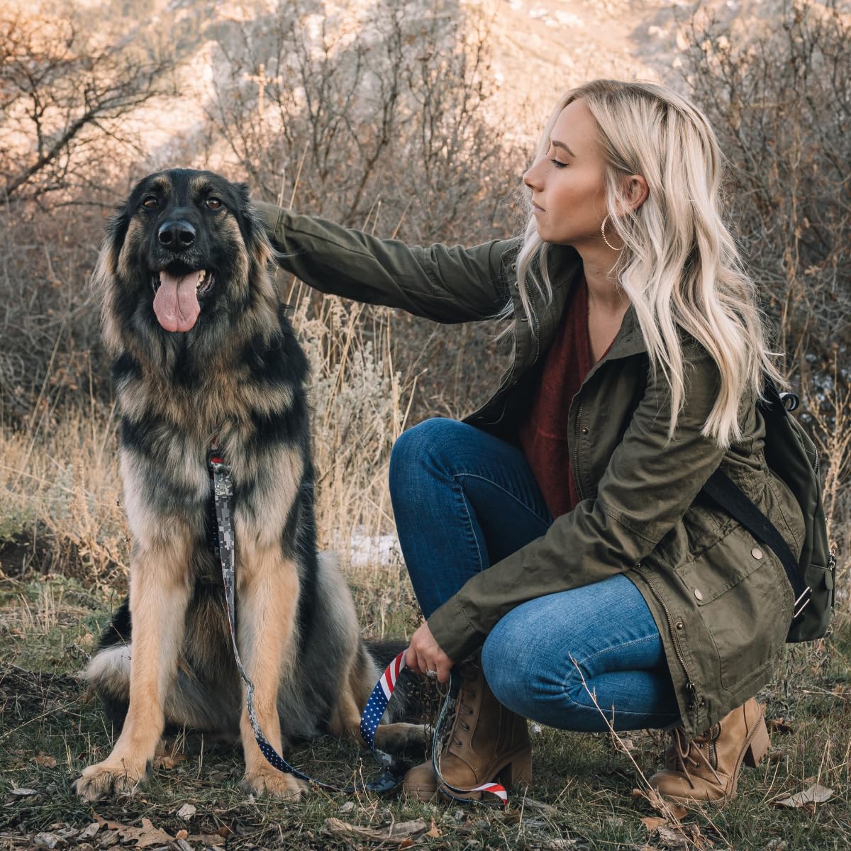 Wolfgang Heavy Duty, Adjustable Dog Collar With Quick Release Nylon Buckle For Walking & Training, Digitaldog Print, Large