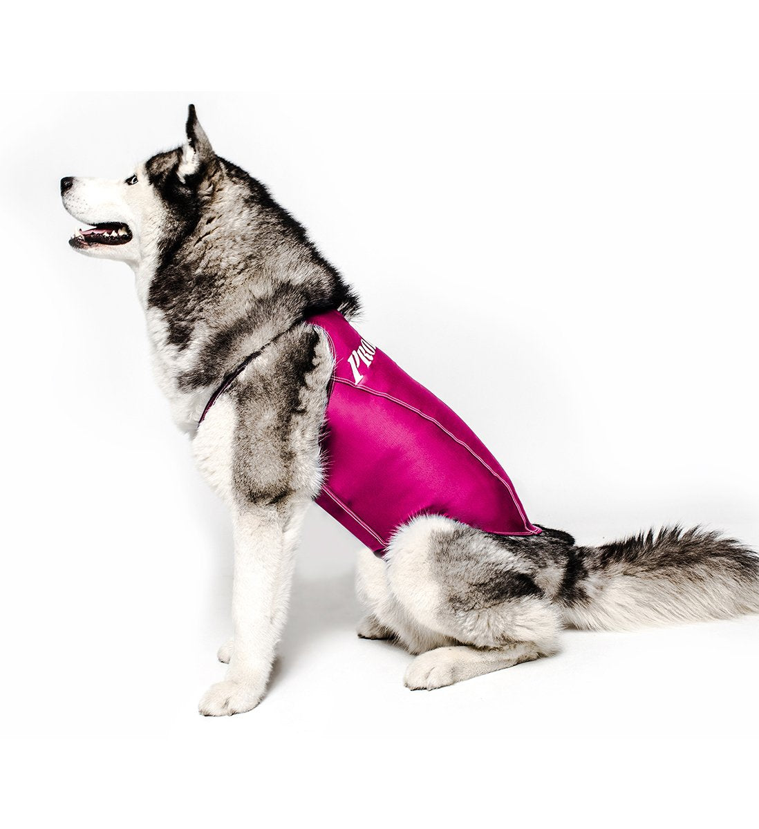 Prodogg Sleeveless Anxiety Relief Jacket Vest For Dogs | Calming Wrap Solution For Anxiety, Separation, And Stress Relief (Fuchs