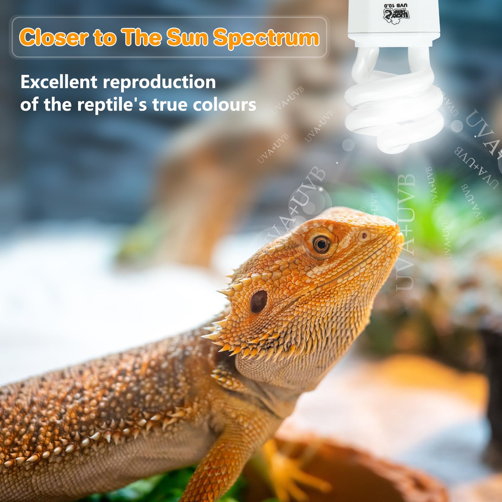 Lucky Herp Uva Uvb Reptile Light 10.0, Desert Uvb 150 Compact Fluorescent Lamp, Uvb Light For Reptiles 15W, Uva Uvb Reptile Ligh