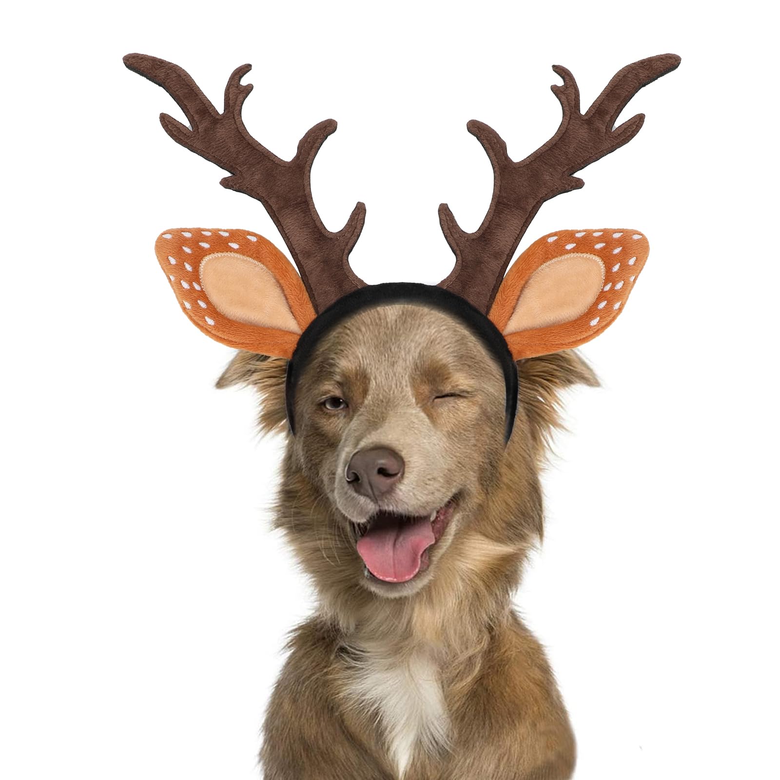 BWOGUE Dog Elk Reindeer Antler Headband with Santa Hat Pet Pet Christmas Costume Headwear Accessories for Dogs and Cats (Large, 