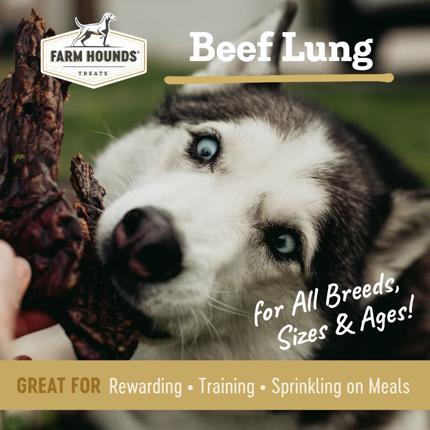 Farm Hounds - Beef Lung - Premium Natural Beef Lung Jerky for Dogs - Made from 100% Humanely Raised Cattle - Organ Treat - Great