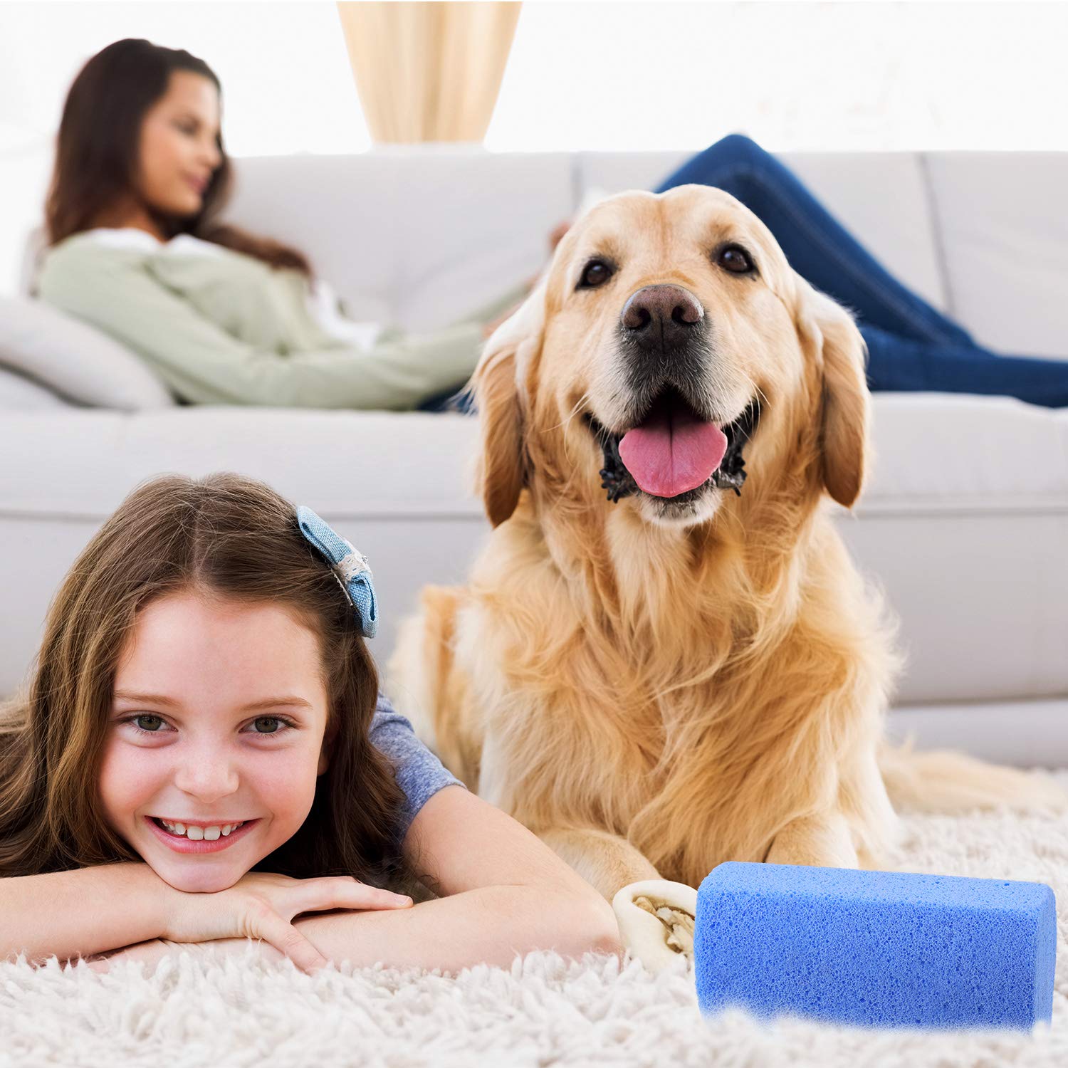 Mudder 6 Pieces Pet Hair Remover For Dog Cat Pet Hair Stone Remover Pumice Pet Hair Rock Removal Tool For Laundry Furniture Reusable Dog Hair Remover Easy To Clean, Blue, 4 Inch