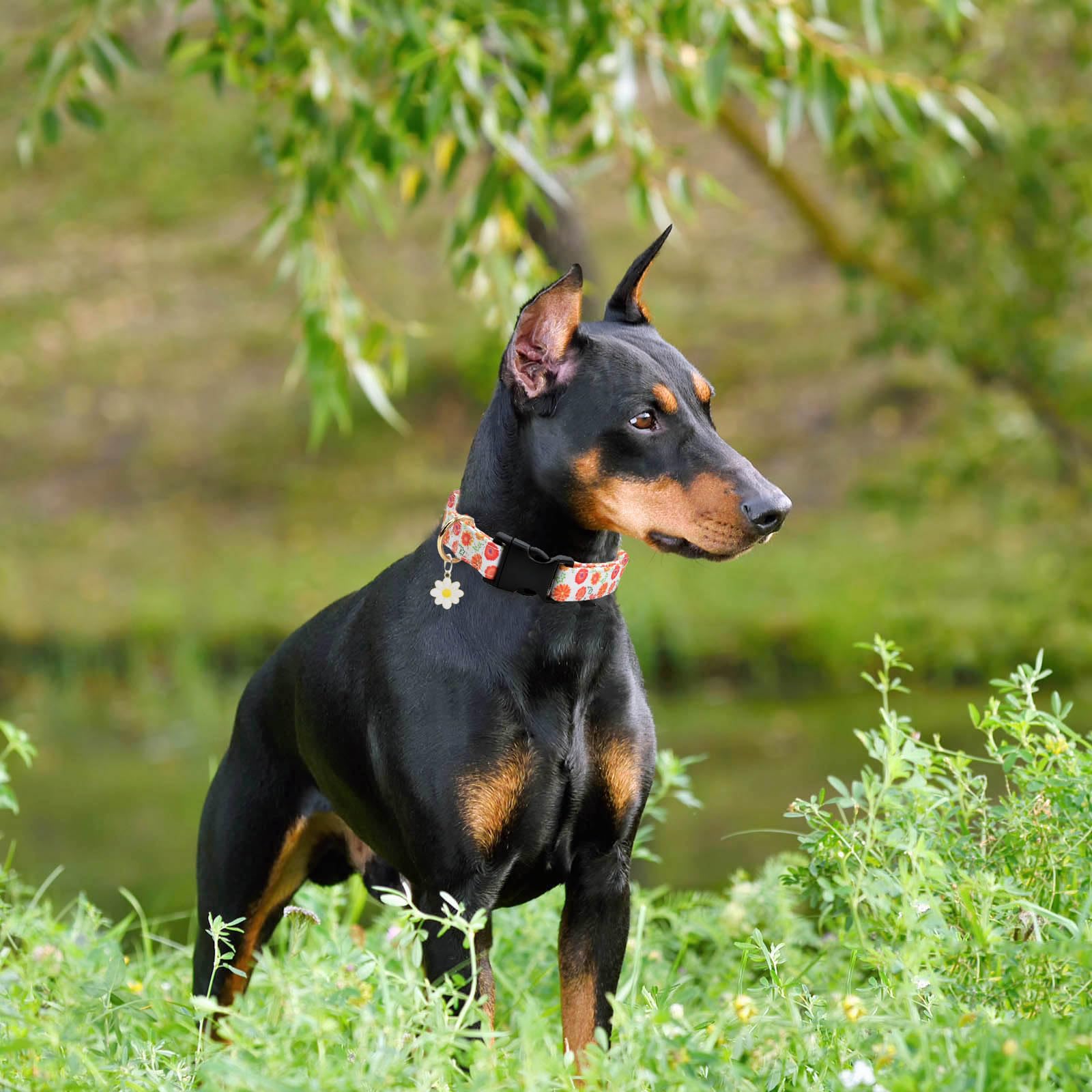 2 Pcs Cotton Dog Collar Soft Cute Flower -3 Sizes Soft Nylon Puppy Collar Adjustable For Girl Female Small Medium Large Dogs (Fl