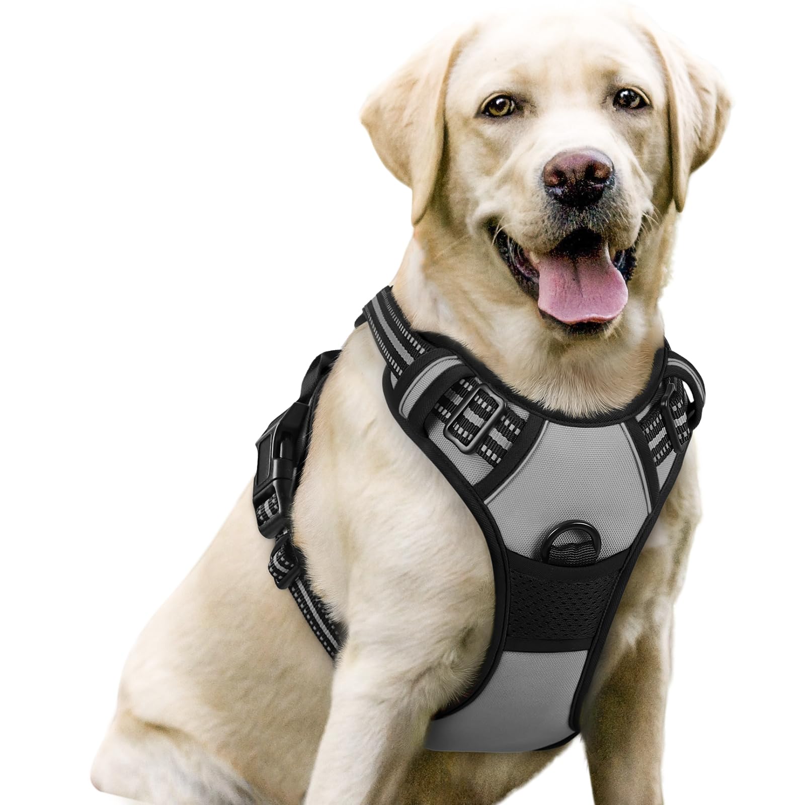 Rabbitgoo Dog Harness, No-Pull Pet Harness With 2 Leash Clips, Adjustable Soft Padded Dog Vest, Reflective No-Choke Pet Oxford Vest With Easy Control Handle For Large Dogs, Grey, L
