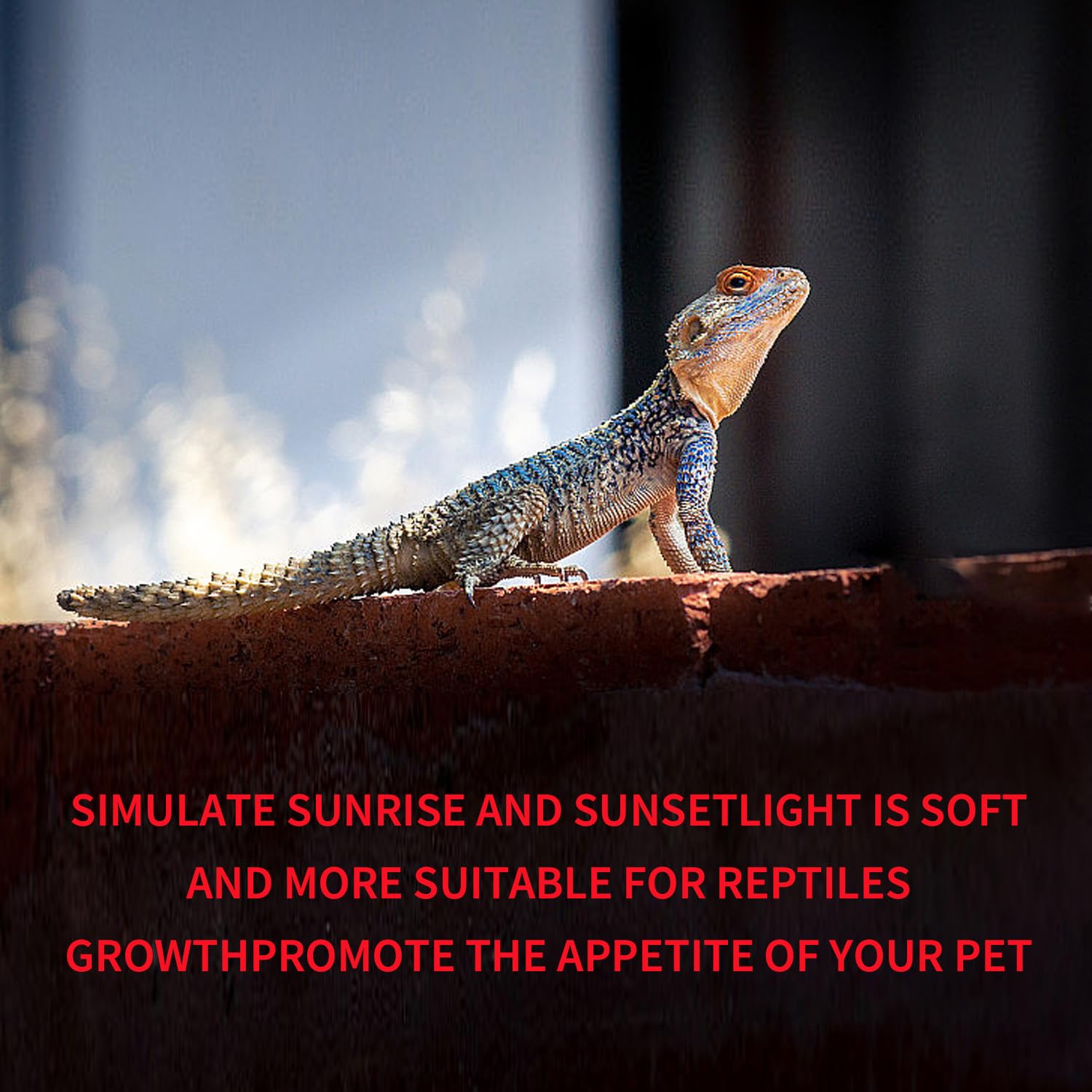 Koheopt 75W Reptile Heat Lamp Bulb 2-Pack,Complete Day & Night Basking Spot Light Combo Including Infrared Heat Lamp And Uva Day