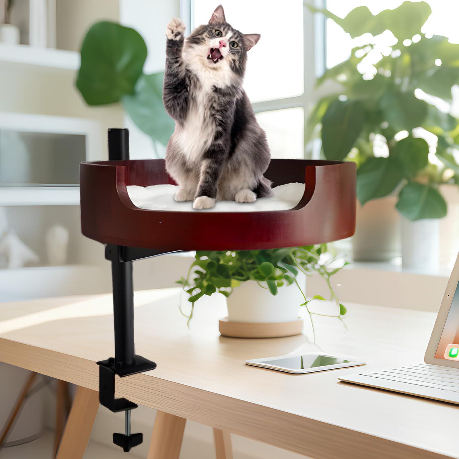 Xzking Cat Desk Bed- Adjustable Wooden Cat Bed For Home Office And Study Rooms, Desktop Kitten Furniture Attachment With Pet Mat