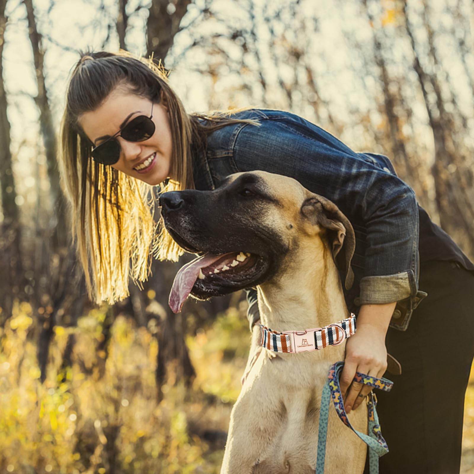 Lionheart Glory Plaid Dog Collar - Heavy Duty, Adjustable, Fall Collar For Large Dogs - Female Or Male
