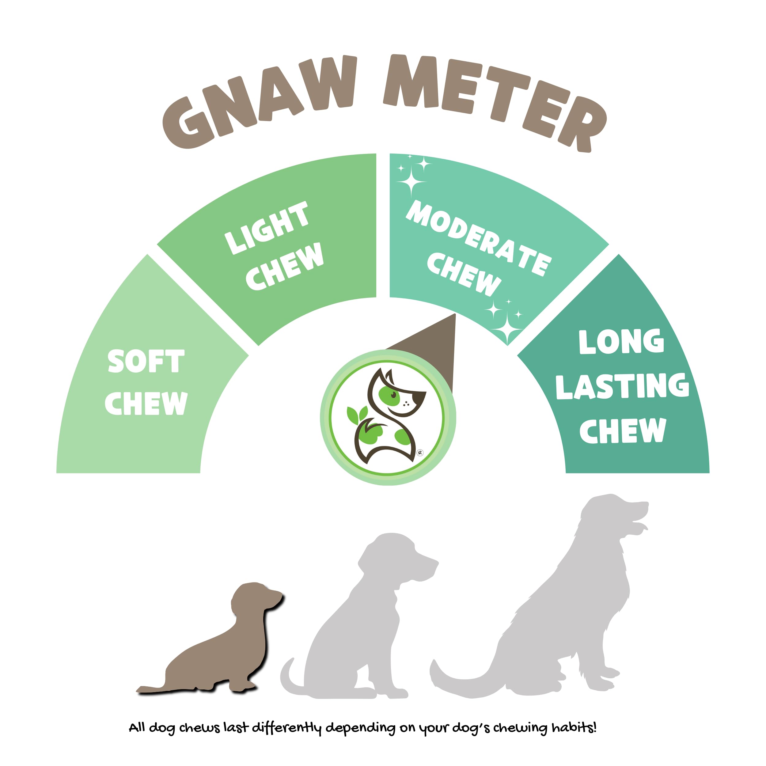 Nature Gnaws Extra Thin Bully Sticks for Small Dogs 5-6 (10 Count) - Long Lasting for Light Chewers and Puppies - Natural Beef D