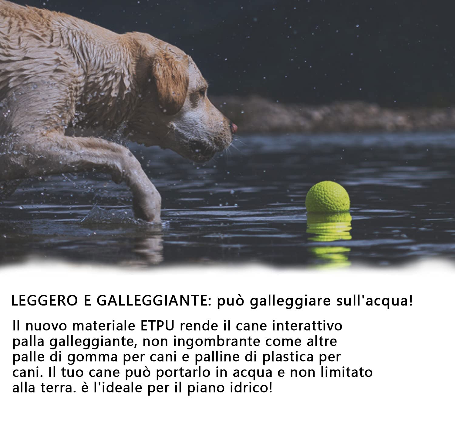 Dog Balls, Rubber Chew Ball Toy, Non-Toxic, Bite Resistant Interactive Training Toy Ball IQ Puzzle for Small Medium Dogs