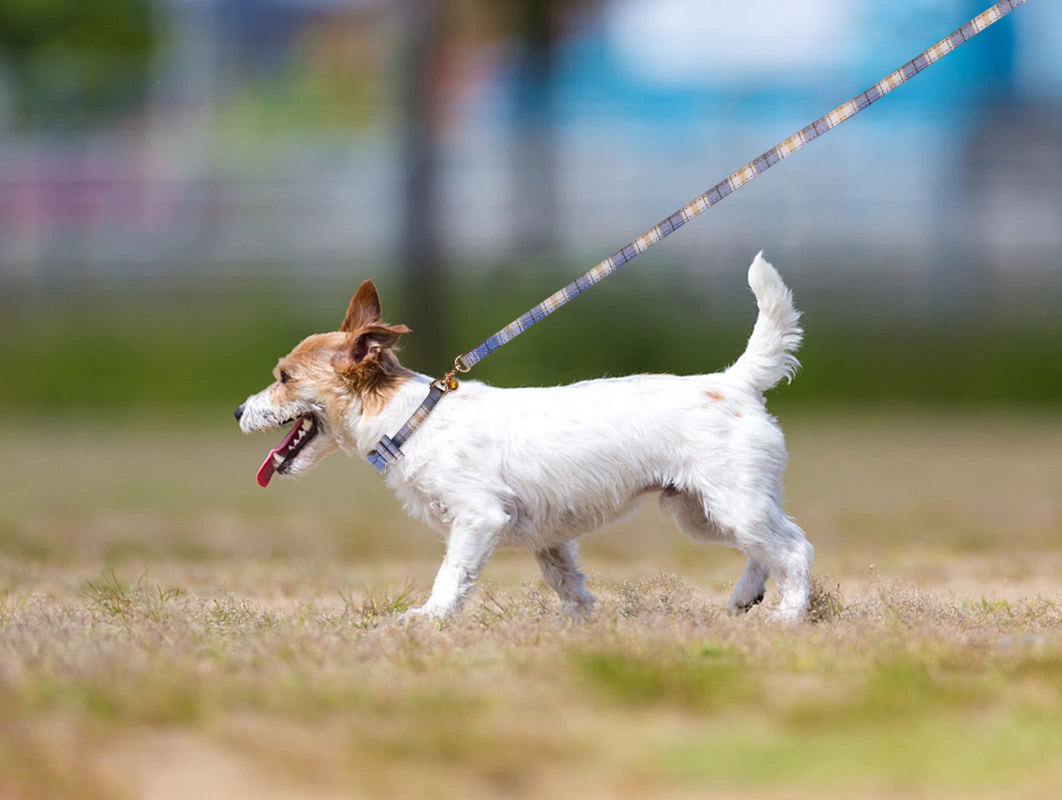 3 Pcs Puppy Collar And Leash Set Dog Collars For Small Dogs Dog Bow Tie With Bell Puppy Bandana Leather Dog Collar For Small Dogs Puppies And Cats(Blue)