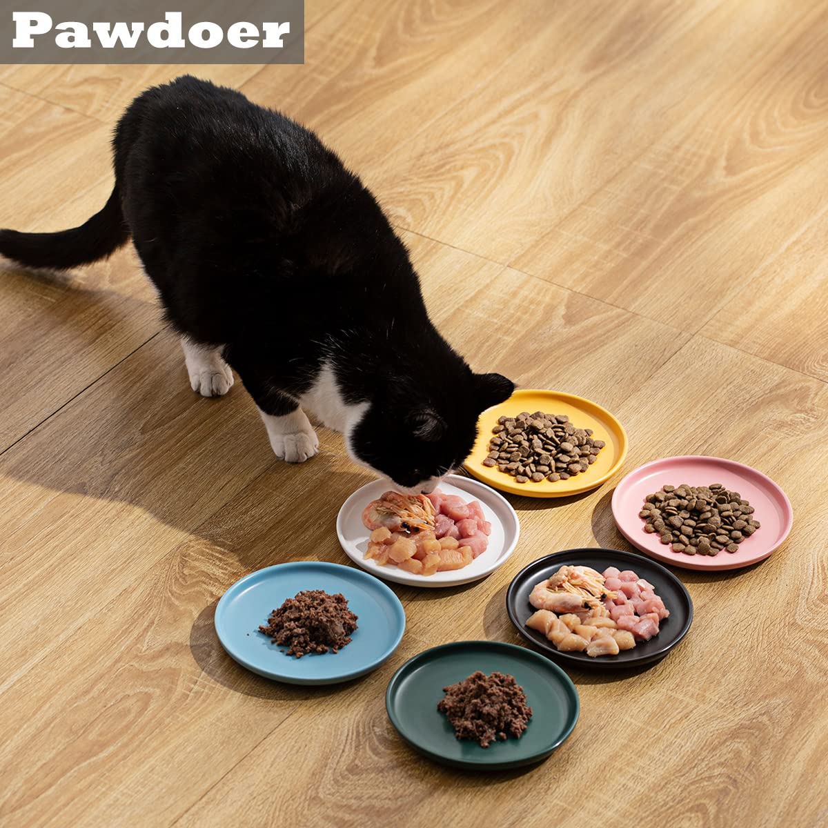Pawdoer Ceramic Shallow Cat Dish 6 inch, Whisker Fatigue Free Cat Food Bowls, Wide and Small Pet Plate for Kitten and Kitty, Sho