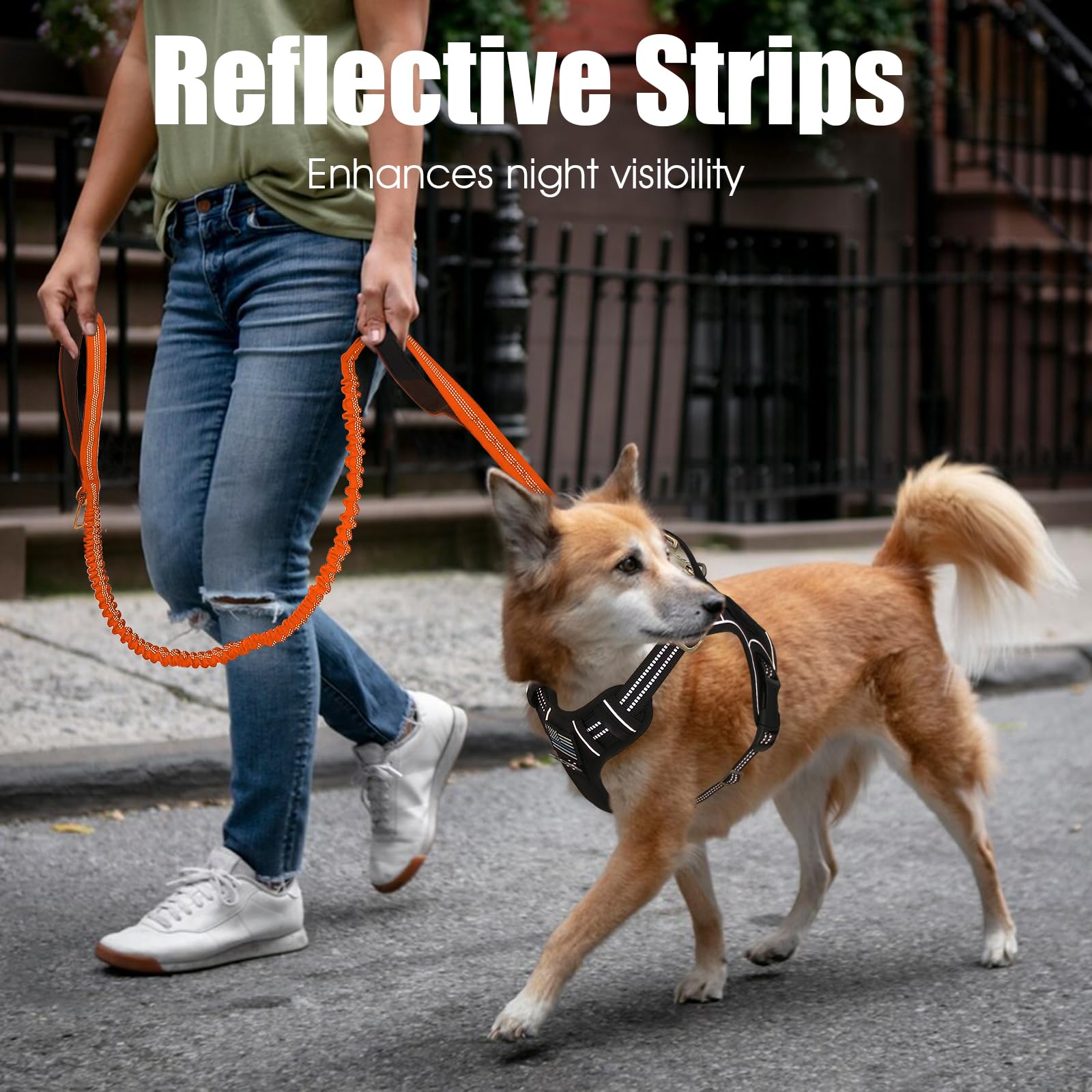 BUMBIN 6Ft Dog Leash - Large Dogs, Bungee Leash with 2 Handles, Heavy Duty, No Pull Shock Absorbing, Orange