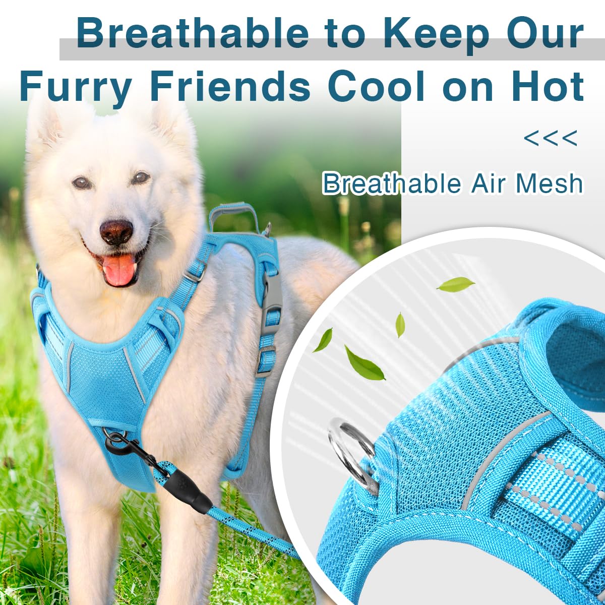 Barkbay Dog Harness No Pull With Id Tag Pocket - Heavy Duty, Reflective, Easy Control For Large Dogs (Blue,M)