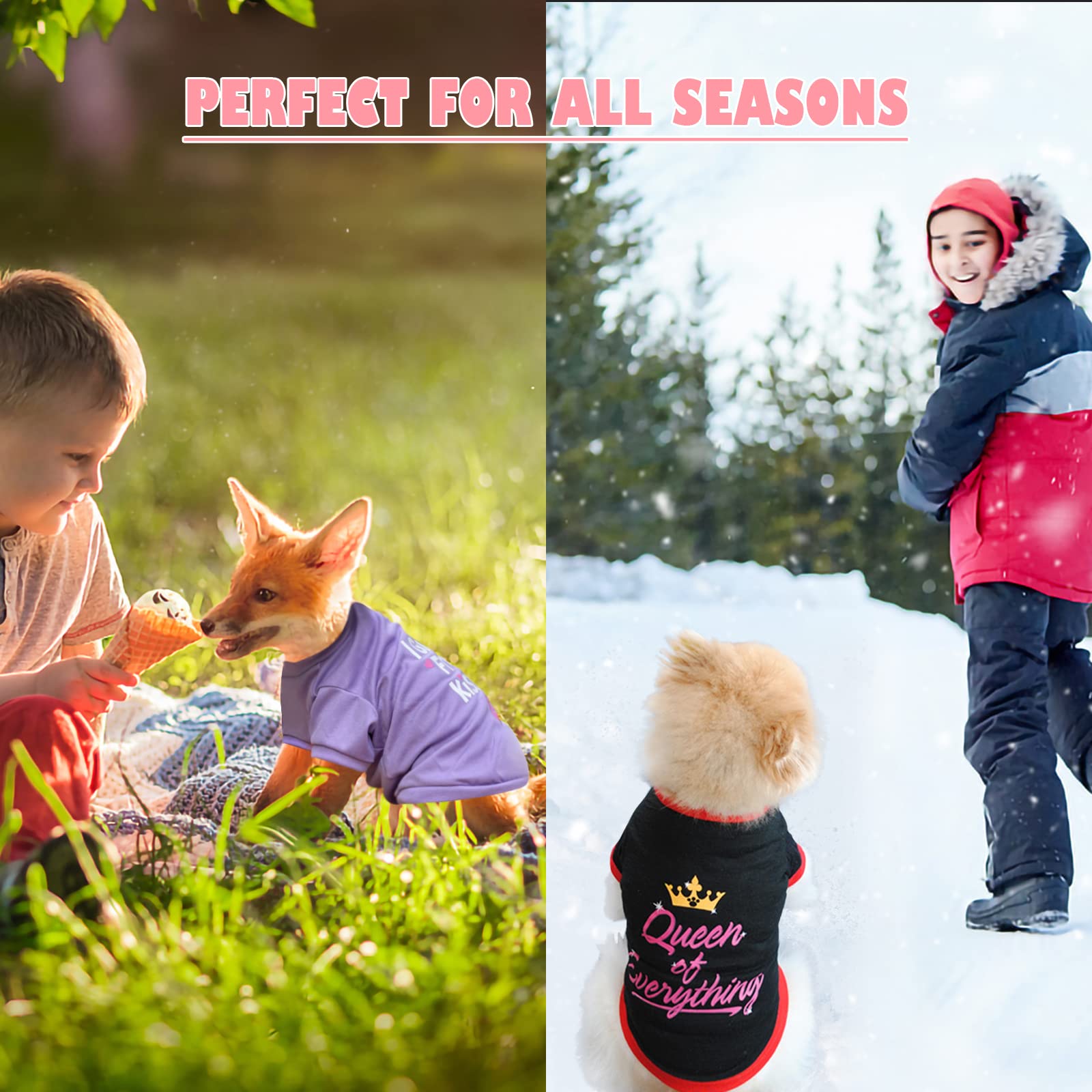 Katolk 6 Pack Dog Clothes For Small Dogs Girl, Soft And Breathable Puppy Kitten Dog Shirts With Letters For Pet Cats, Summer Dog