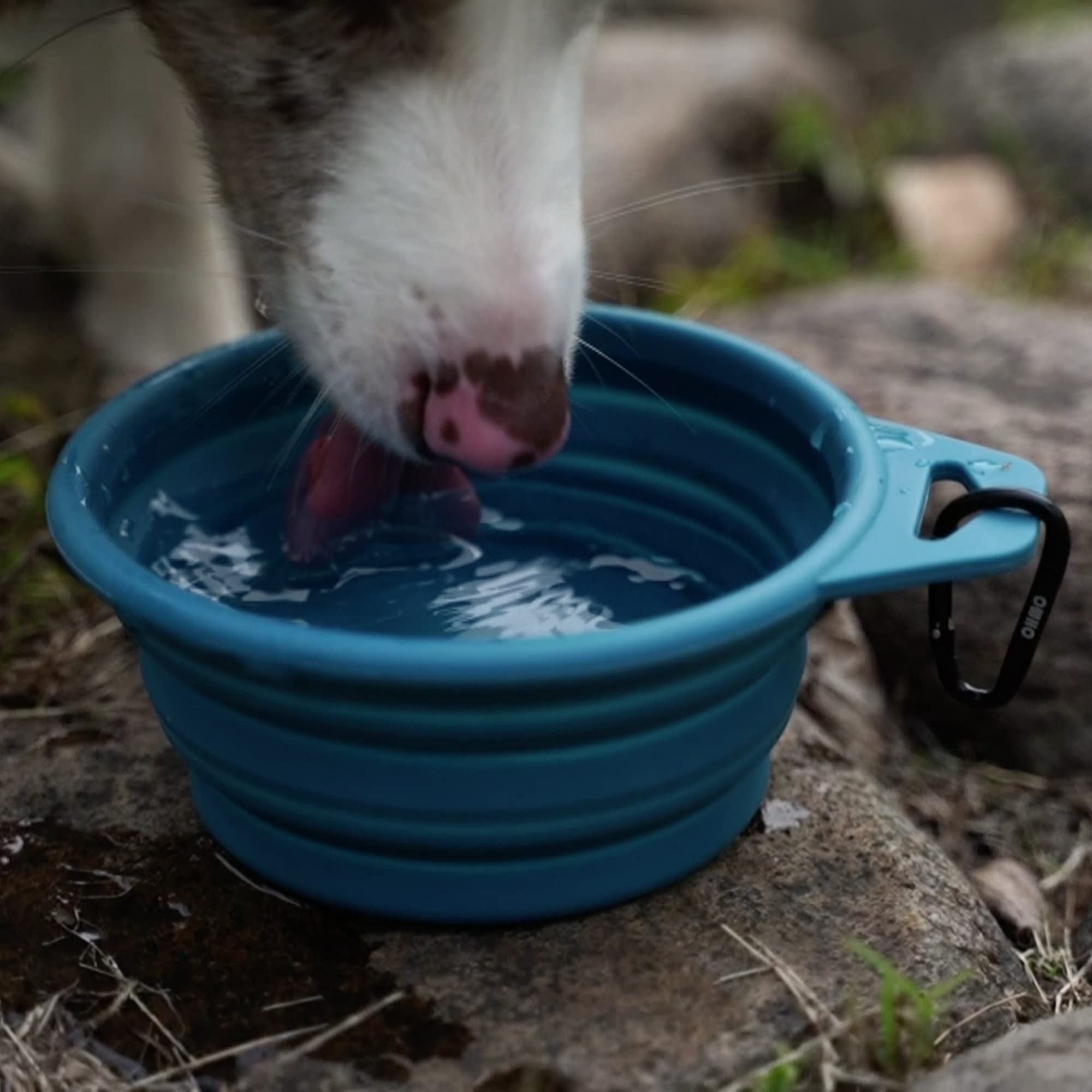 Ohmo Collapsible Dog Bowl(2 Pack, 12Oz/400Ml, Peacock Blue&Beige) Premium Silicone Pet Water Bowls For Cats & Dogs, Portable Dog Travel Bowls Foldable For Outdoor Camping Hiking