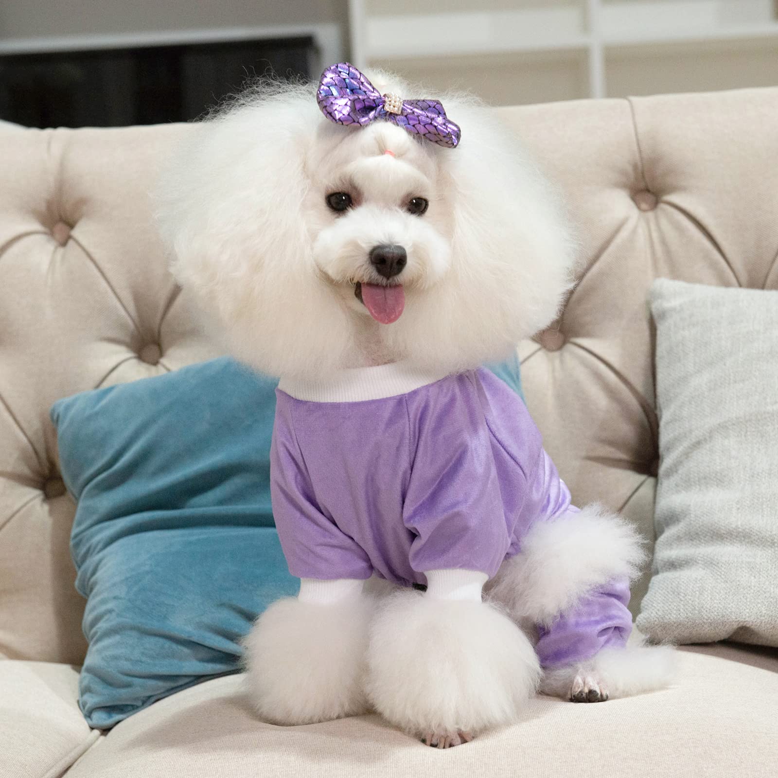 Cutebone Trend Letters Dog Pajamas Clothes Soft Puppy Pjs For Small Dogs P246M I Give Free Kisses