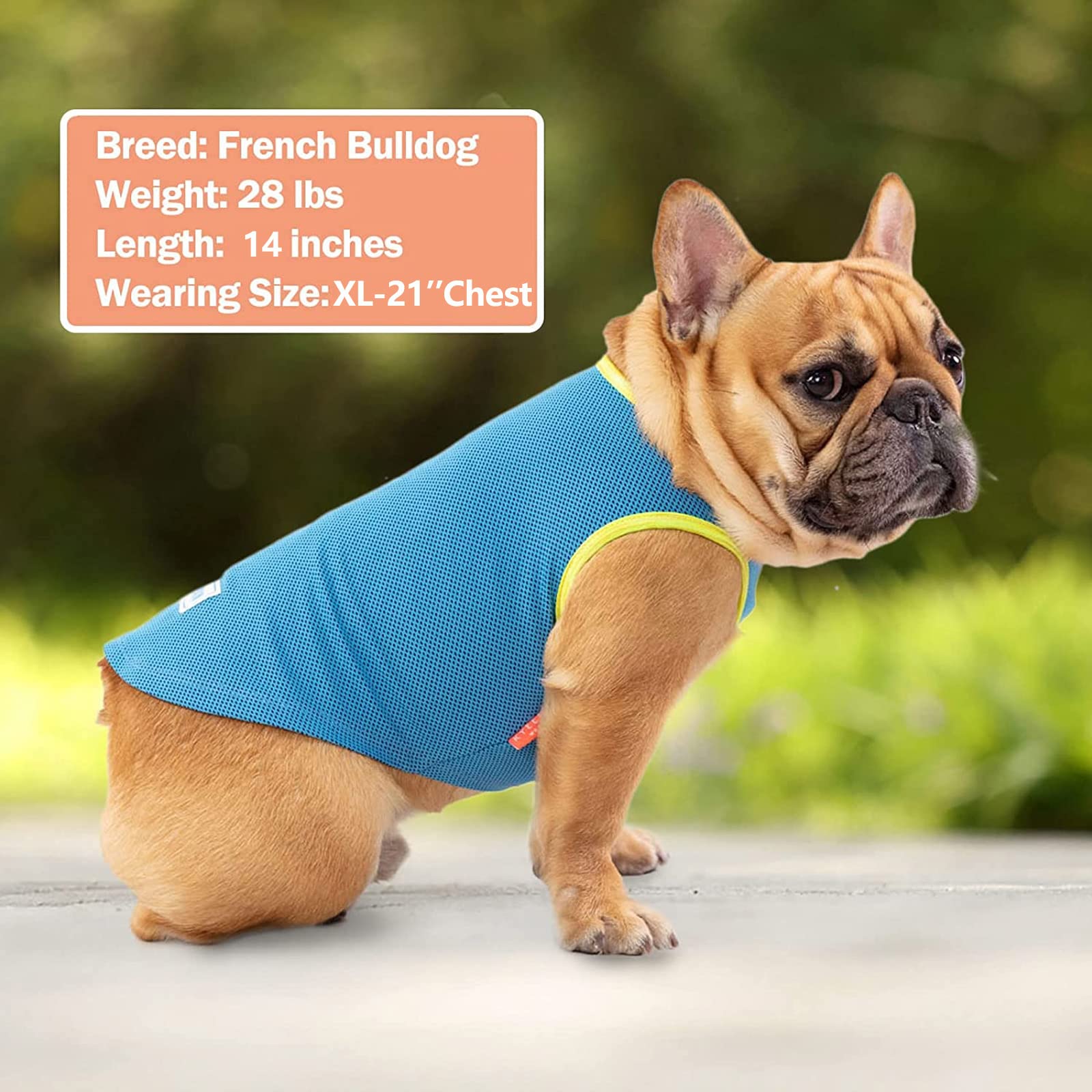Kyeese 2 Pack Dog Cooling Shirts - Breathable Instant Cooling Vests, Lightweight For Summer Dog Apparel, Blue+Grey, Medium