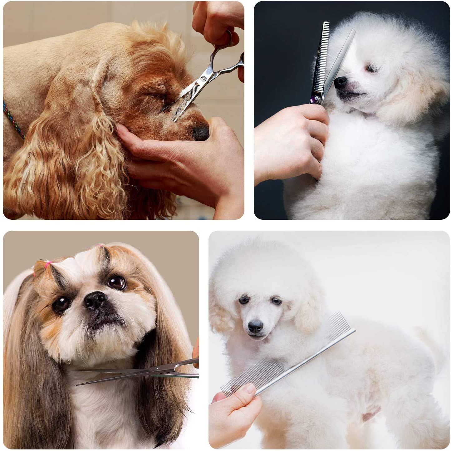 Maxshop Dog Grooming Scissors With Safety Round Tips, Heavy Duty Titanium Pet Grooming Trimmer Kit, Professional Thinning Shears, Curved Scissors With Comb For Dogs And Cats (Set Of 3)