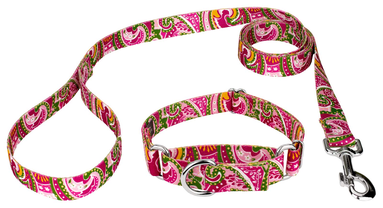 Country Brook Petz - Pink Paisley Martingale Dog Collar And Leash - Paisley Collection Featuring Classy Designs (1 Inch, Medium)