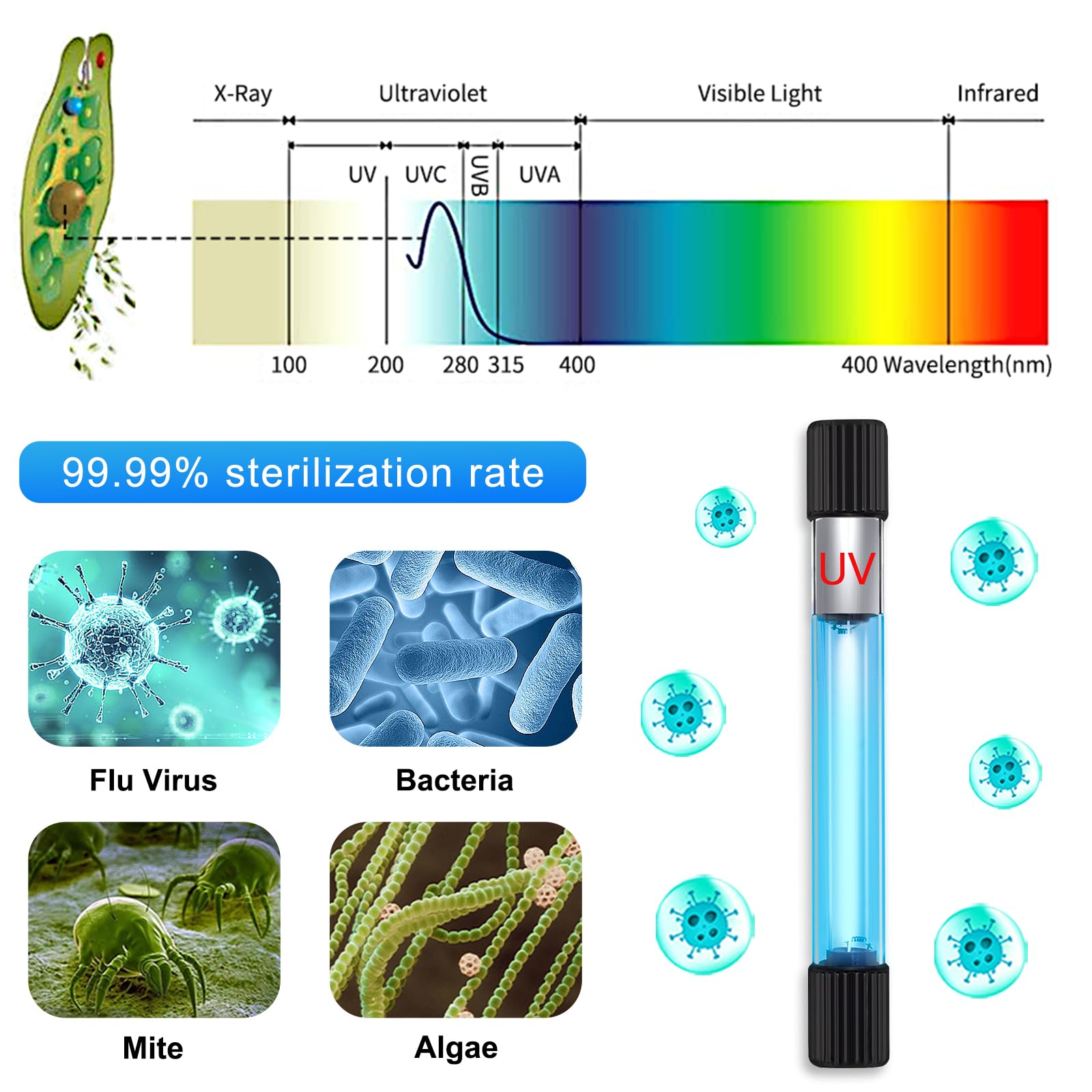 Taishan Aquarium Clean Light,13W & 11W & 9 W & 7 W & 5 W & 3 W Algae Removal Light With Timer,Aquarium Water Clean Green Clear W