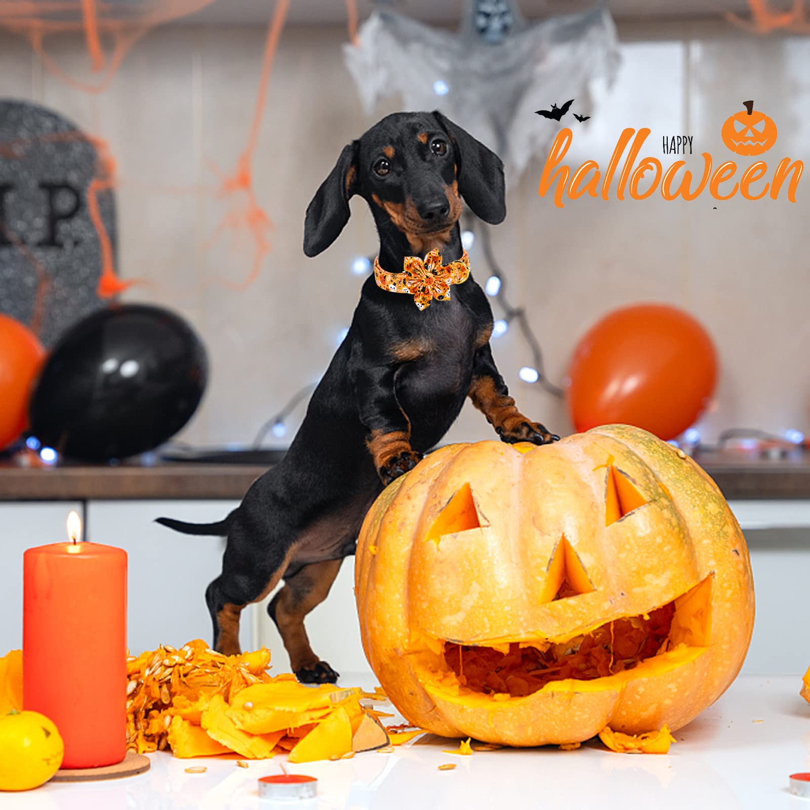 Aring Pet Dog Collar With Flower-Halloween Dog Collar Flower, Adorable Boy And Girl Ghost Pumpkin Dog Collars Gifts With Metal Buckle