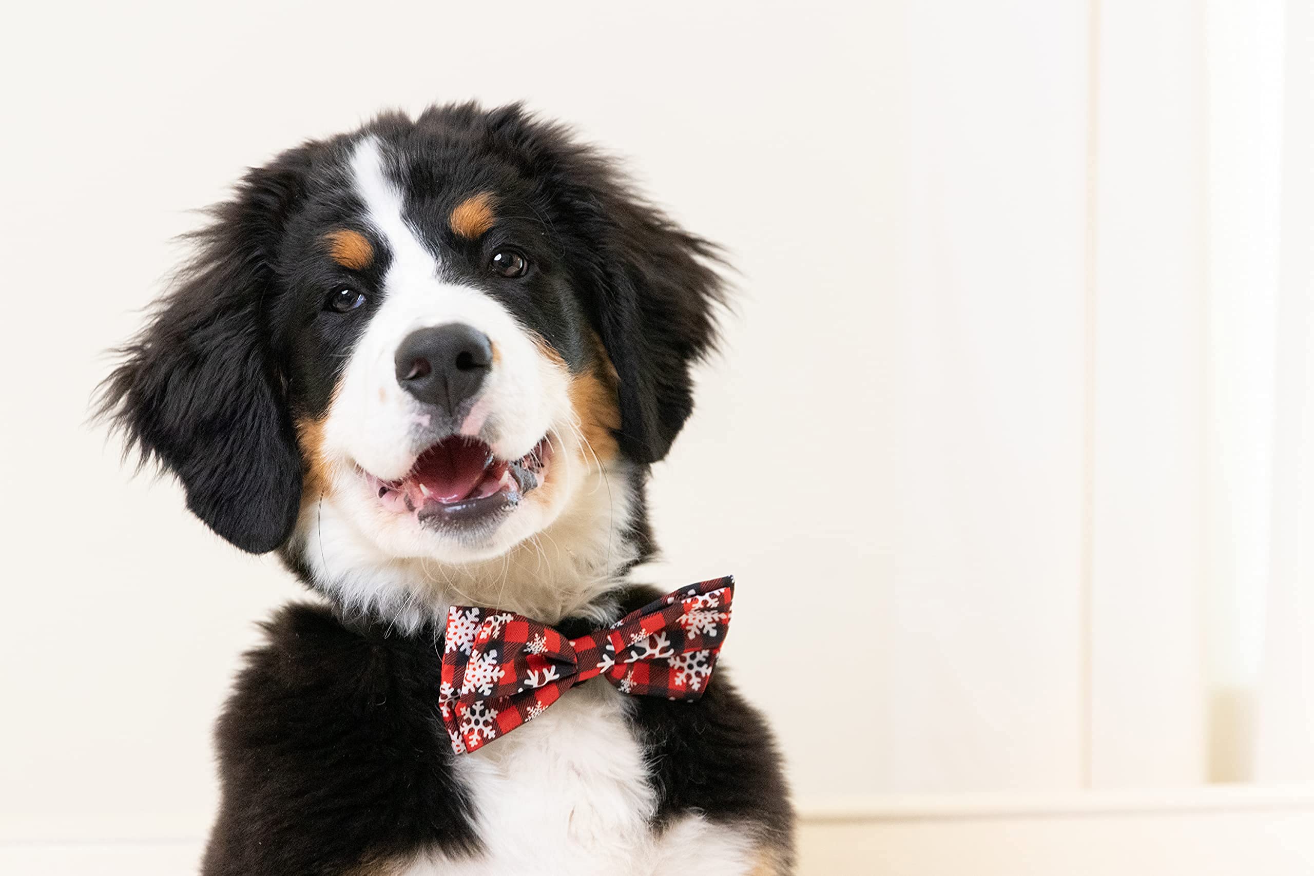 Huxley & Kent Extra-Large Buffalo & Snow Bow Tie Collar For Dogs & Cats - Christmas Holiday Bow Ties