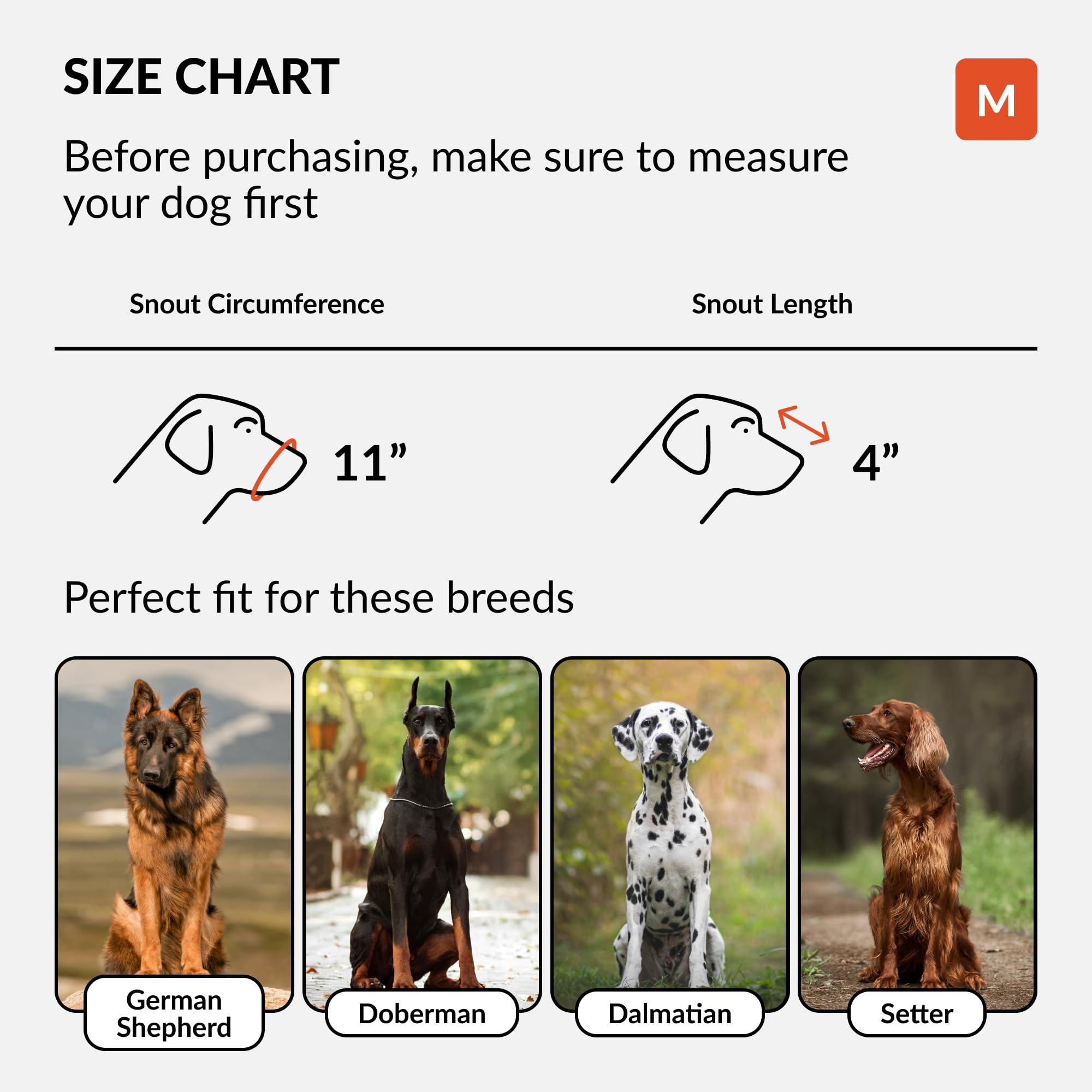 Collardirect Dog Muzzle German Shepherd Dalmatian Doberman Setter Leather Basket Medium Large Breeds Black Brown (M, Chestnut Brown)