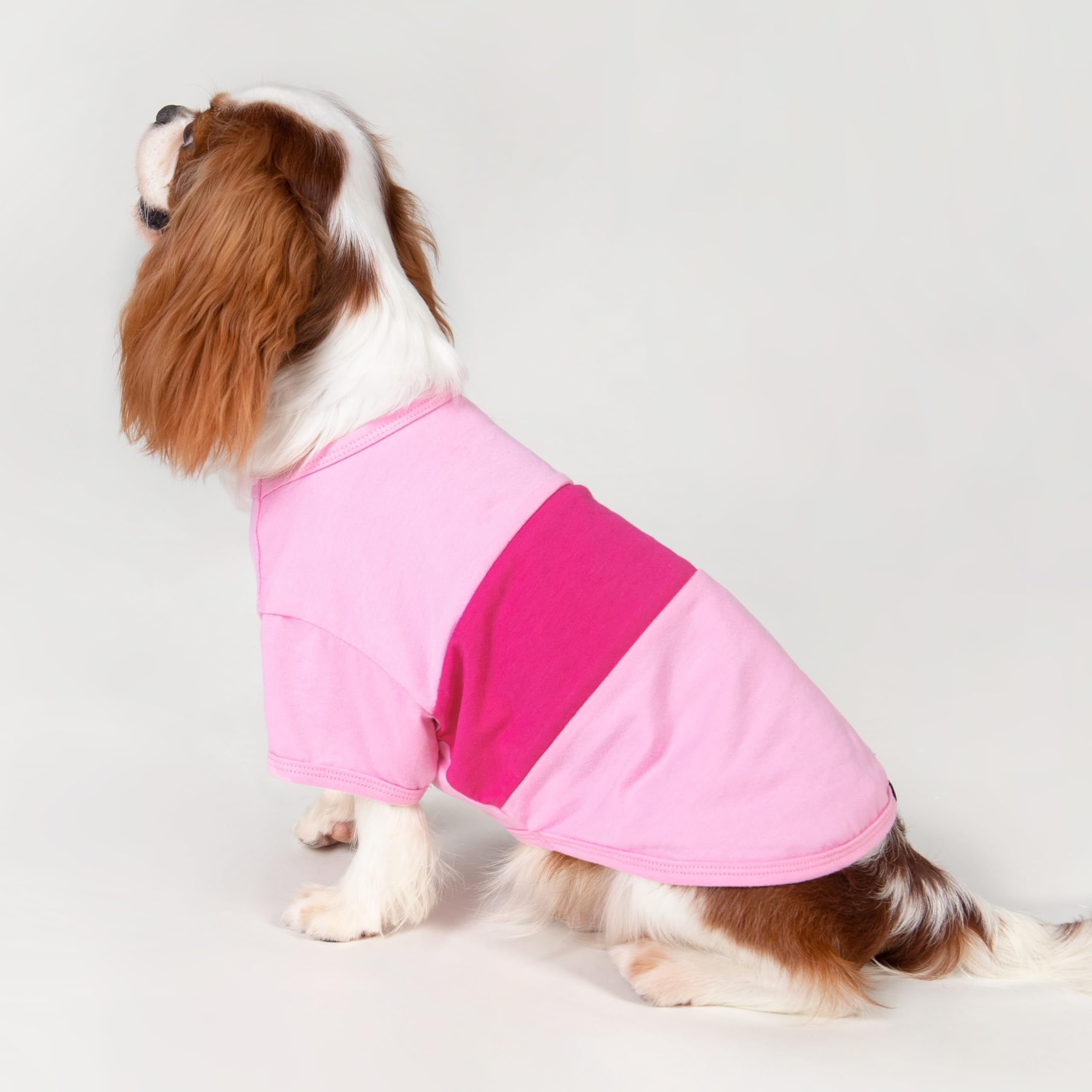 Fitwarm 3 Pack Color Block Striped Dog Shirt, Summer Dog Clothes for Small Dogs, Breathable Lightweight Dog Tshirt, Pet Outfit,