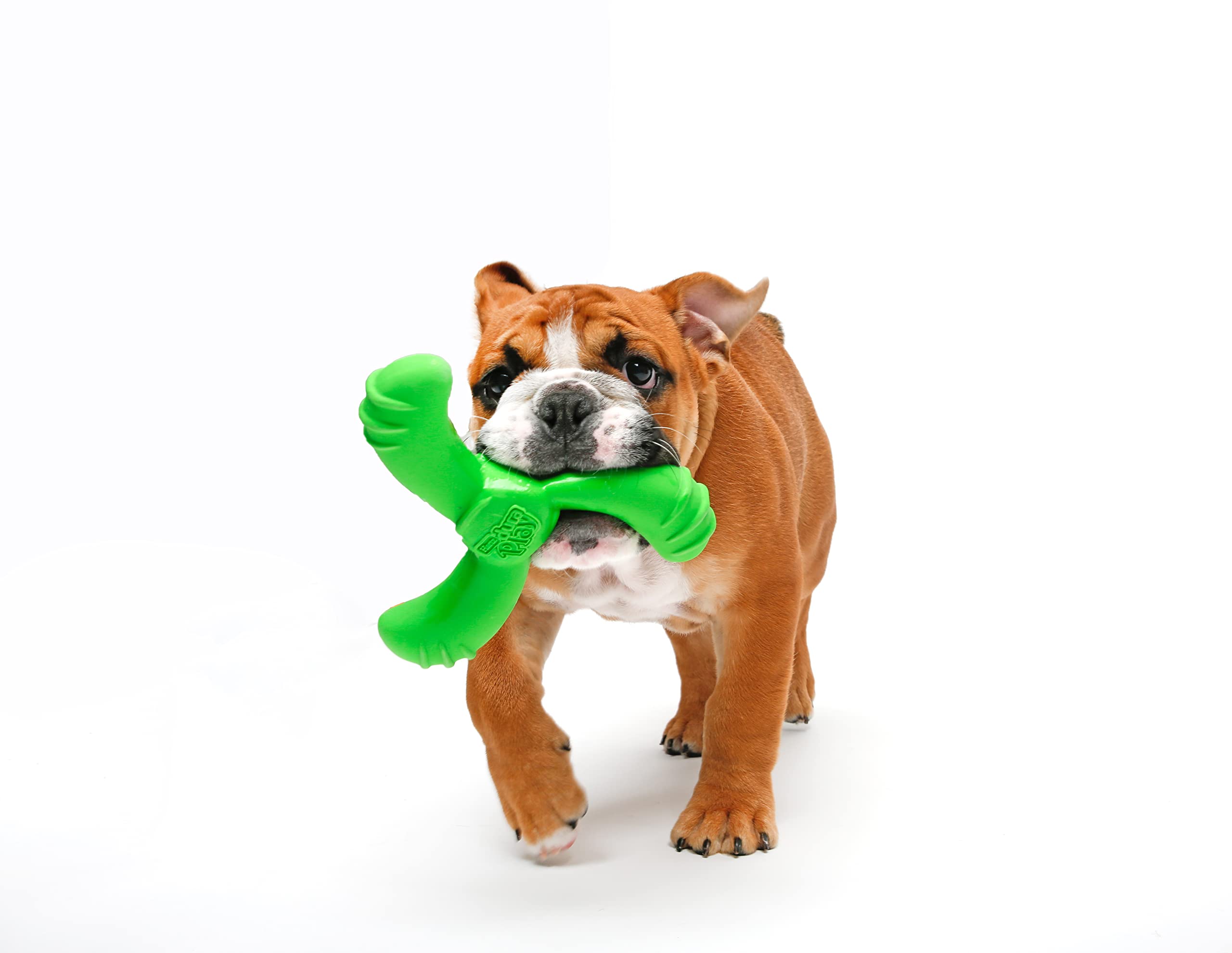 Hartz DuraPlay Bacon Scented Dog Toys, Medium/Large ( Colors may vary ) All Breed Sizes