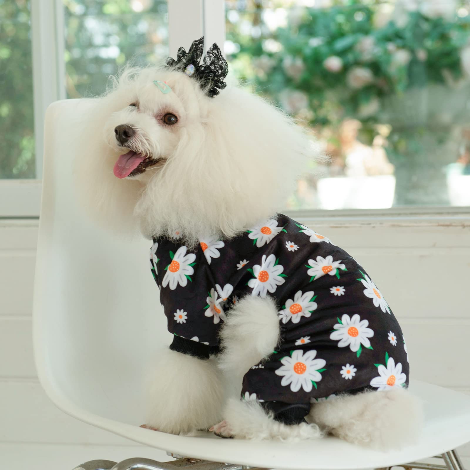 Cutebone Daisy Dog Pajamas Soft Puppy Pjs For Small Dogs P221L