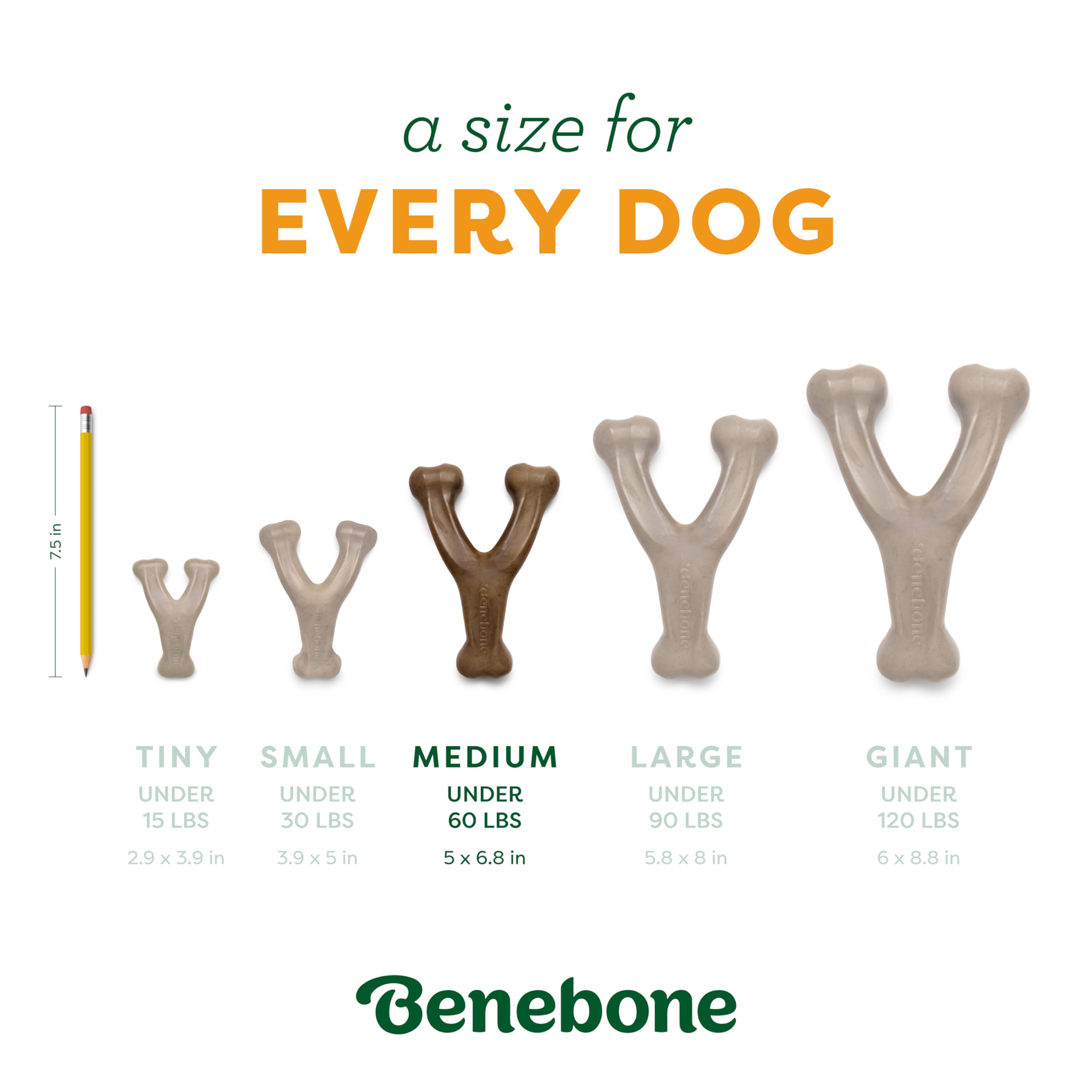 Benebone Pumpkin Spice Wishbone - Limited Edition Flavor, Durable Dog Chew Toy for Aggressive Chewers, Made in USA, Medium