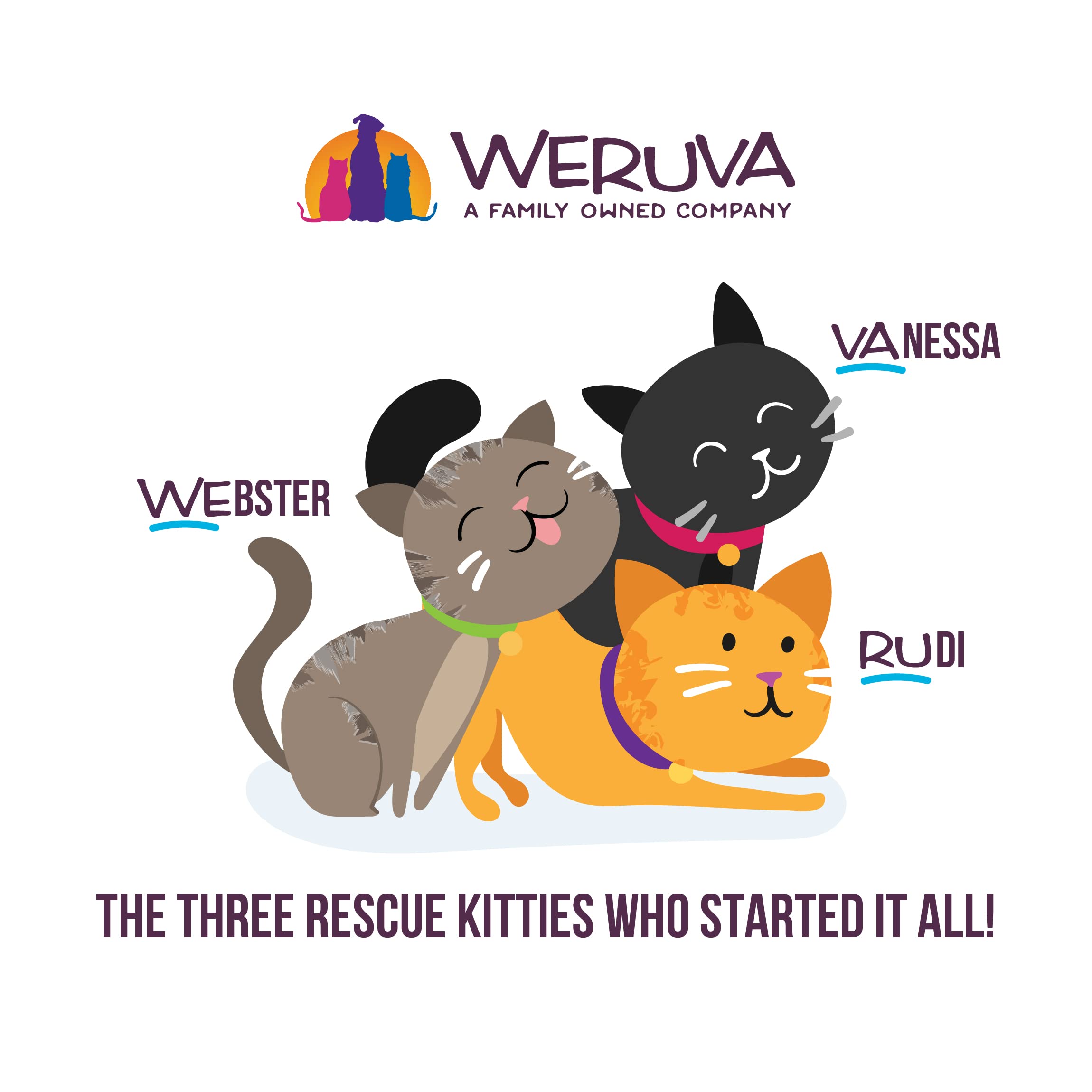 Weruva Cats in The Kitchen, Kitchen Cuties Variety Pack, Wet Cat Food, 3.2oz Can (Pack of 12)