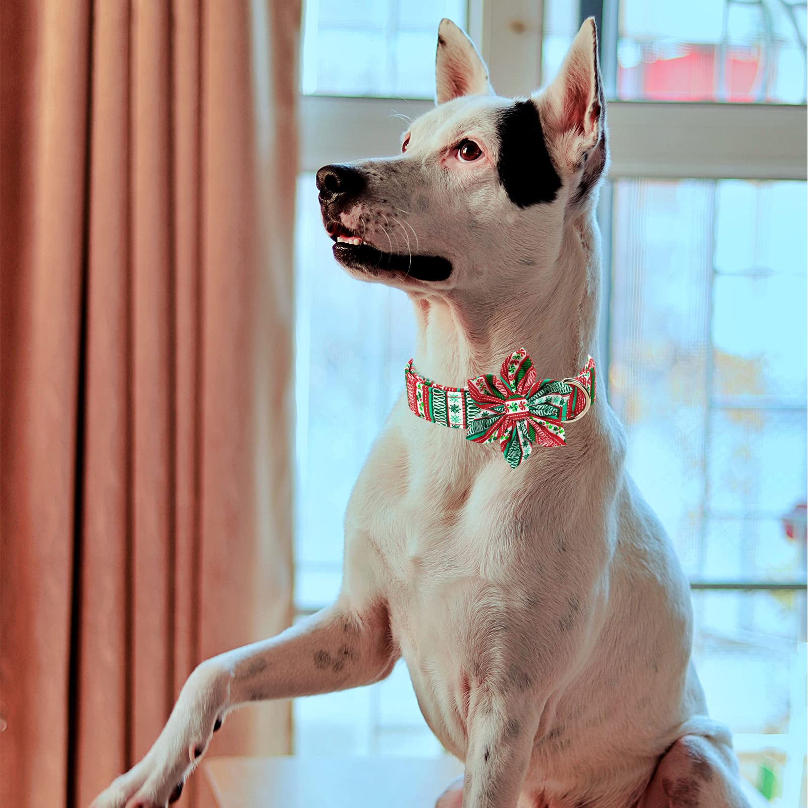 Mr. Chubbyface Christmas Plaid Flower Dog Collar For Boy Girl Dogs Adjustable Red Green Dog Collar With Flower For Small Medium