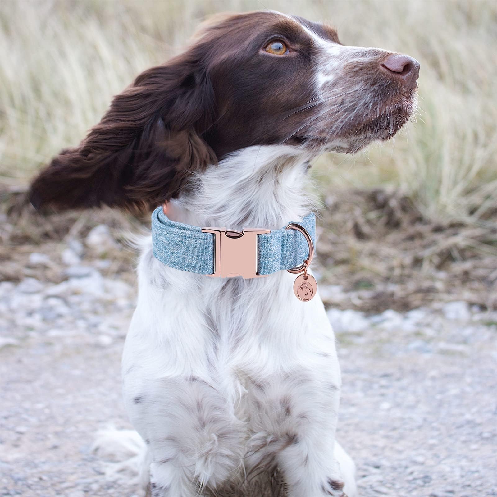 Dogwong Cotton Dog Collar And Leash Blue Pet Collar Soft Durable Puppy Collar For Small Medium Large Dogs