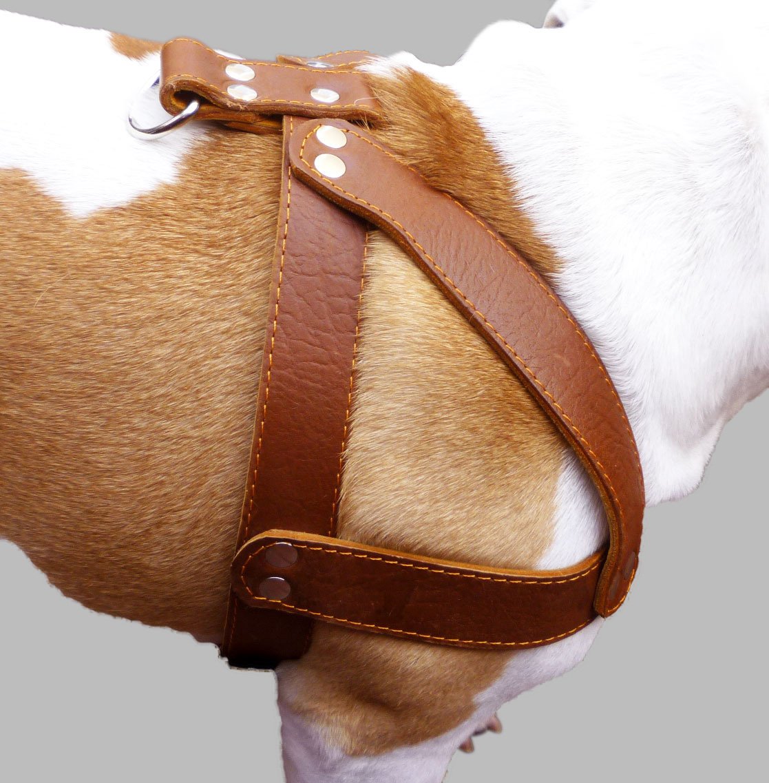 Brown Leather Dog Harness, Large. 28'-34' Chest, 1.5' Wide Straps, Rottweiler Bulldog