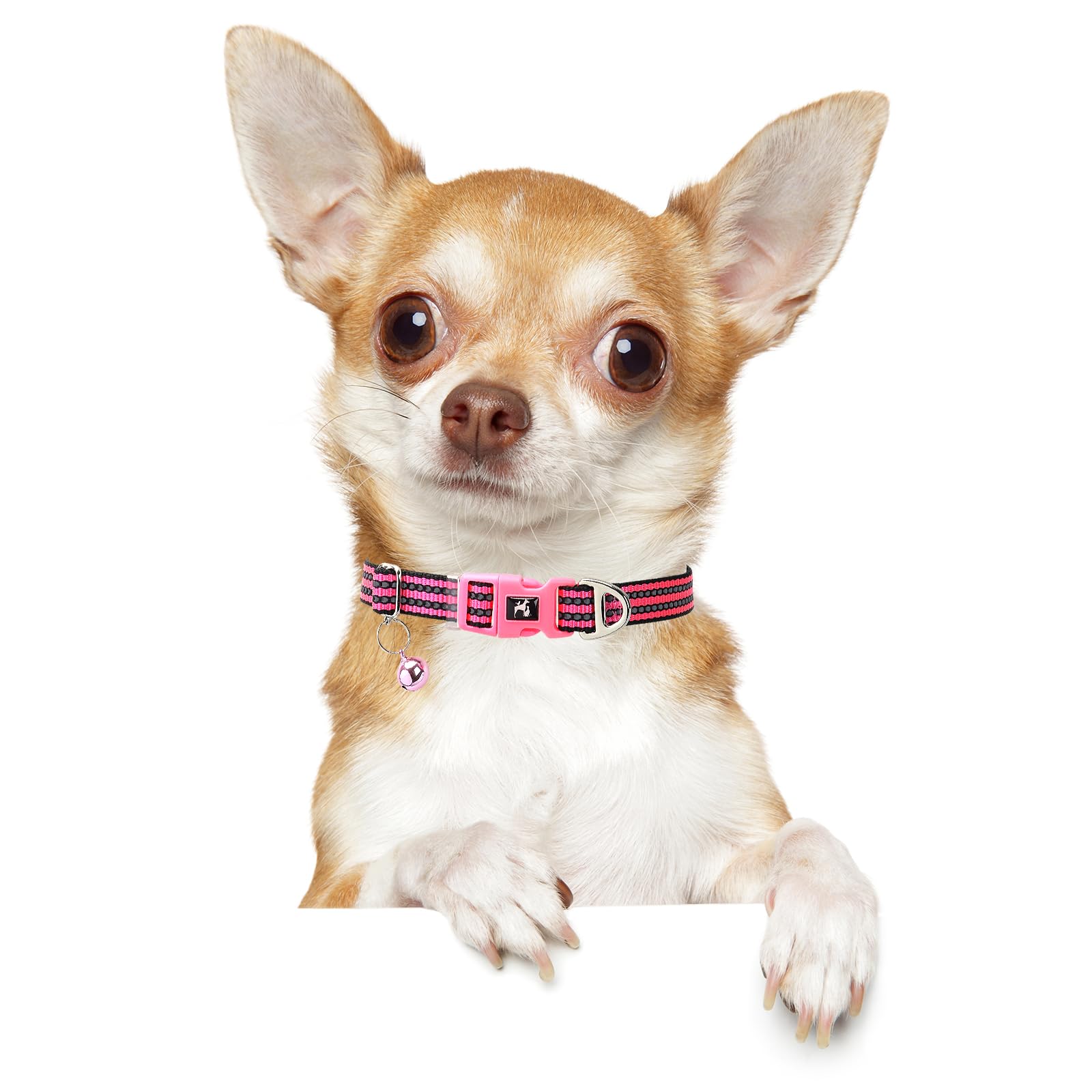 Onefojojo Small Dog Collar With Bell Reflective - Adjustable Tiny Xs Xxs Breed Collar For Girl Female,Night Walk Safety Accessor