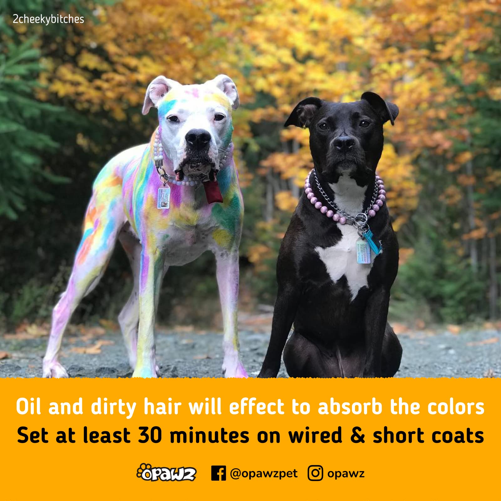 OPAWZ Semi-Permanent Dog Hair Dye, Food-Grade Pigment Dog Dye, Non-Toxic Pet Hair Dye for Dogs, Cats and All Pets Can be Bathed