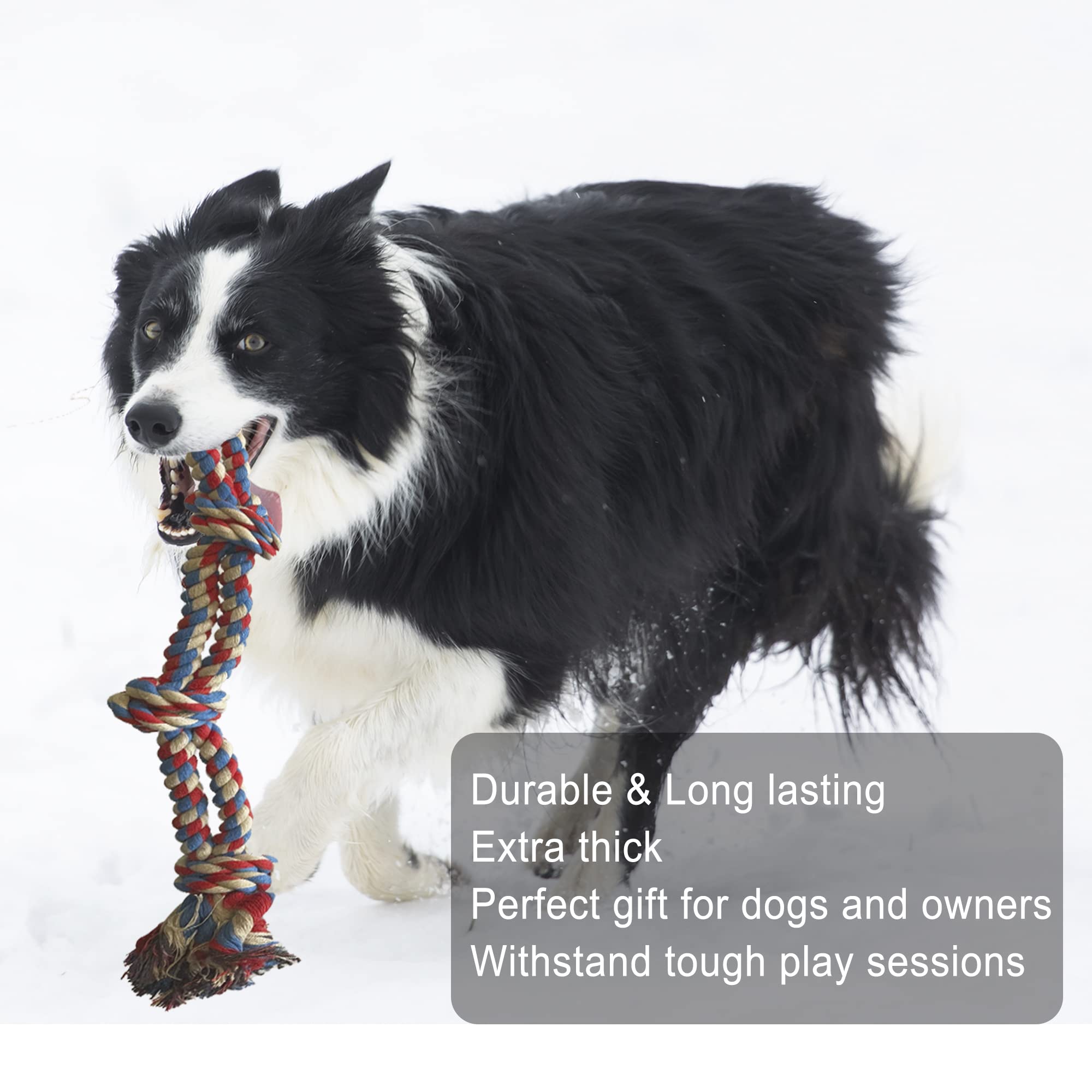 Jalousie 14 Pack Puppy Chew Dog Rope Toy Assortment For Small Medium Large Breeds