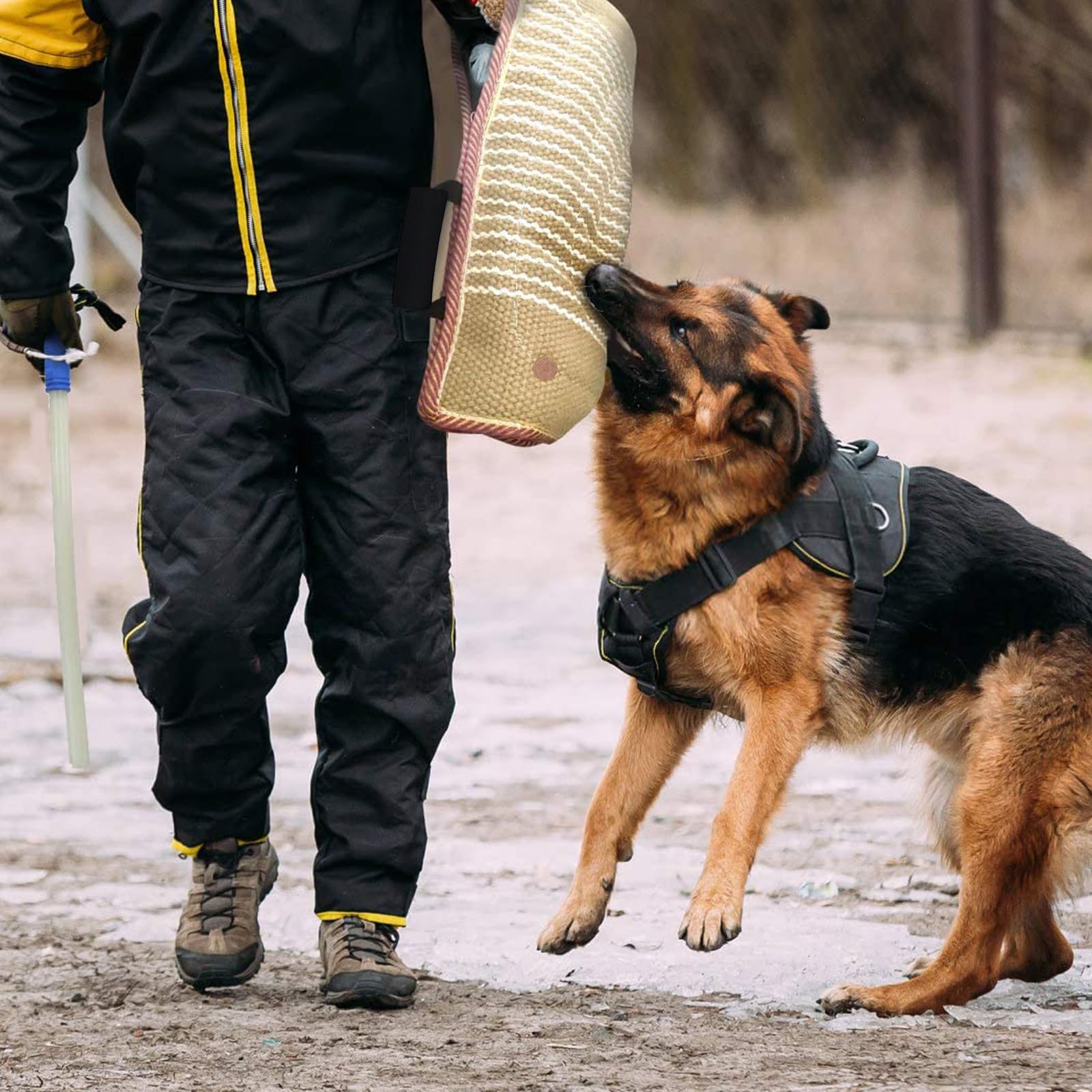 Dog Bite Training Set Professional Dog Bite Sleeve Arm With Whip Agitation Stick For Dogs Training Equipment Protection For Biti