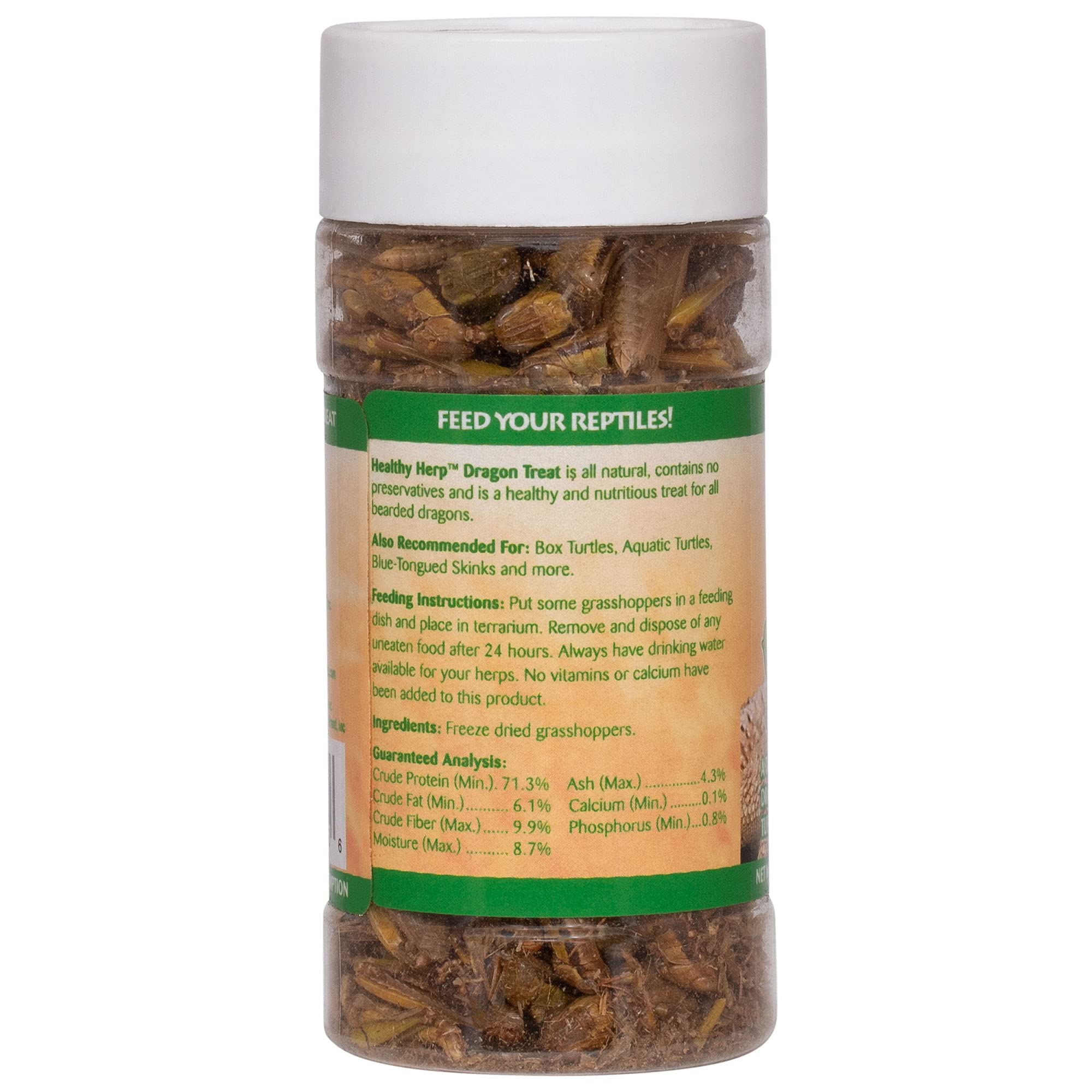 Healthy Herp Dragon Treat Grasshoppers - All Natural, Nutritious Turtle Food, Bearded Dragon Tank Accessories - for Bearded Drag